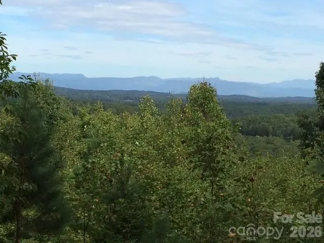 113 Meditation Ridge Drive, Nebo, NC, 28761