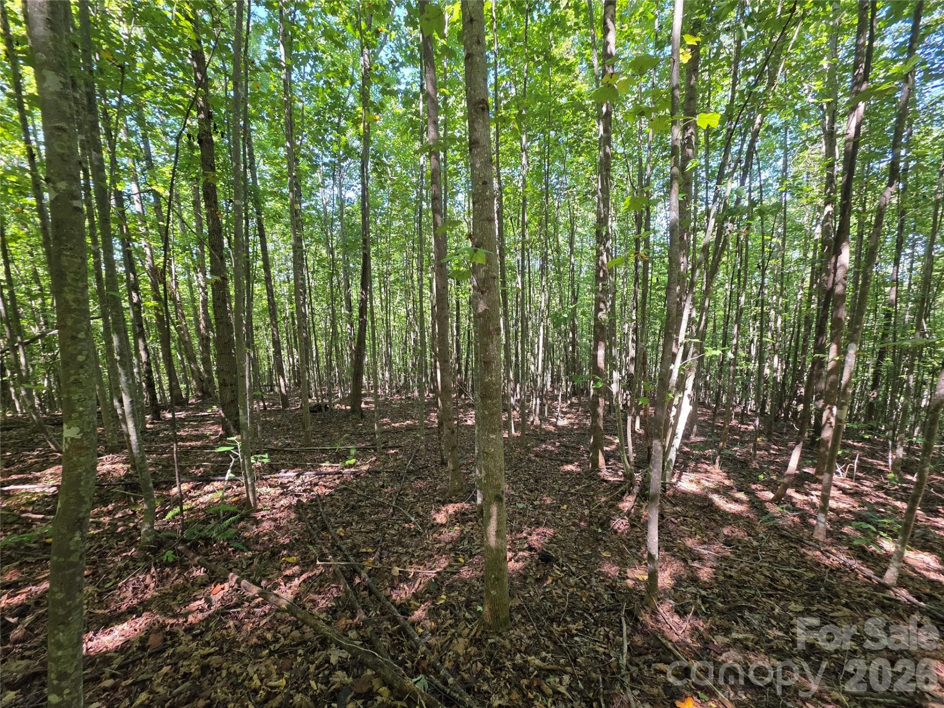 113 Meditation Ridge Drive - Photo 2