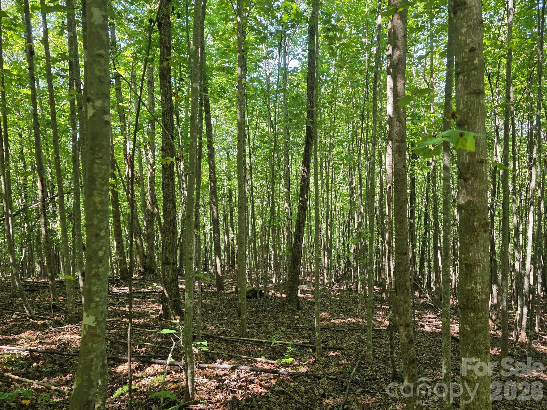 113 Meditation Ridge Drive - Photo 6