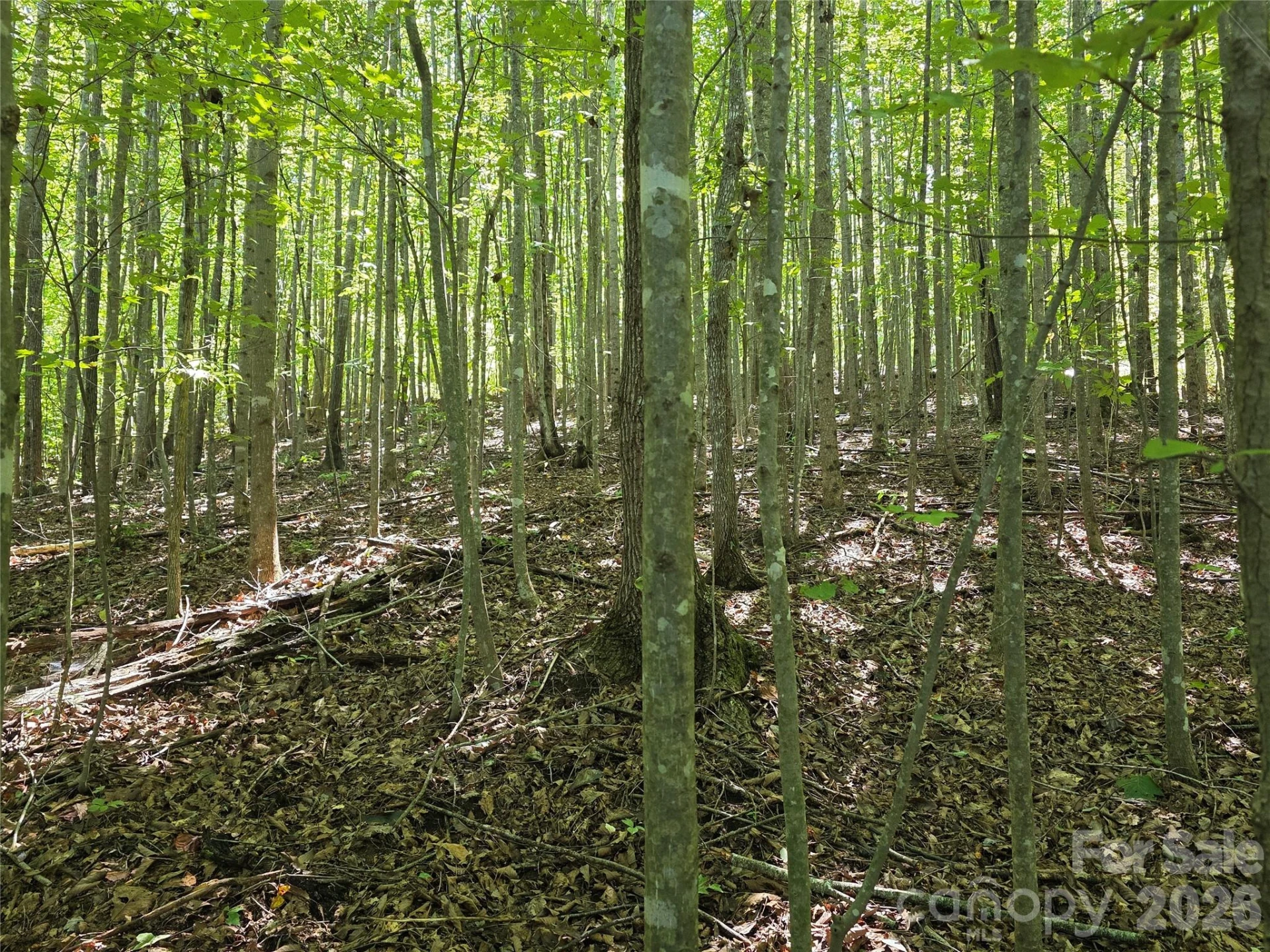 113 Meditation Ridge Drive - Photo 8