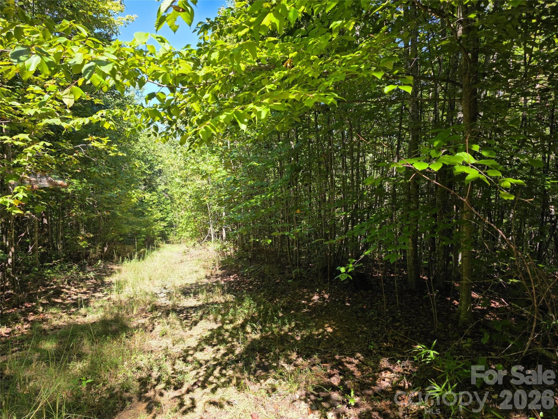 113 Meditation Ridge Drive - Photo 9