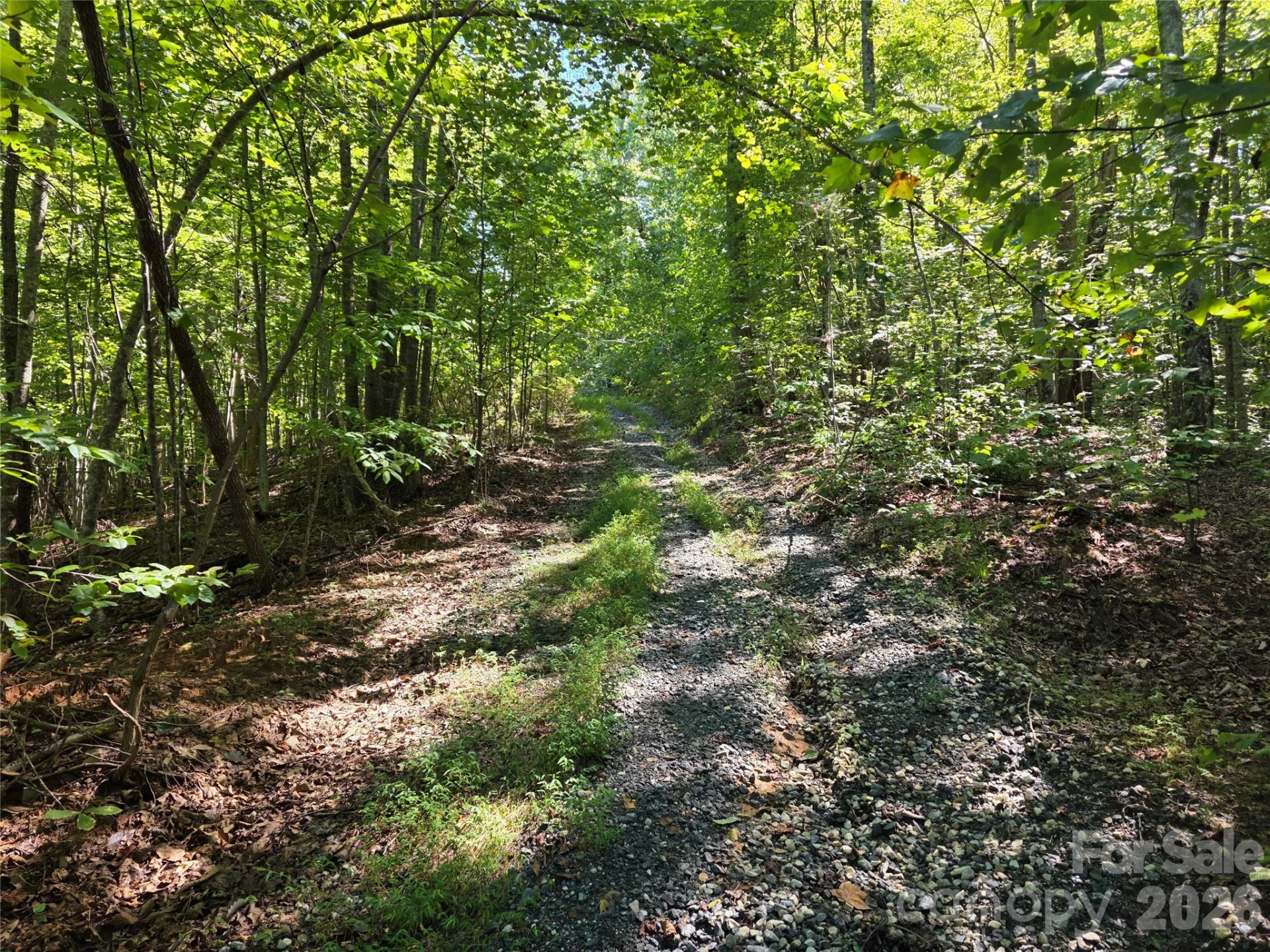 113 Meditation Ridge Drive - Photo 11