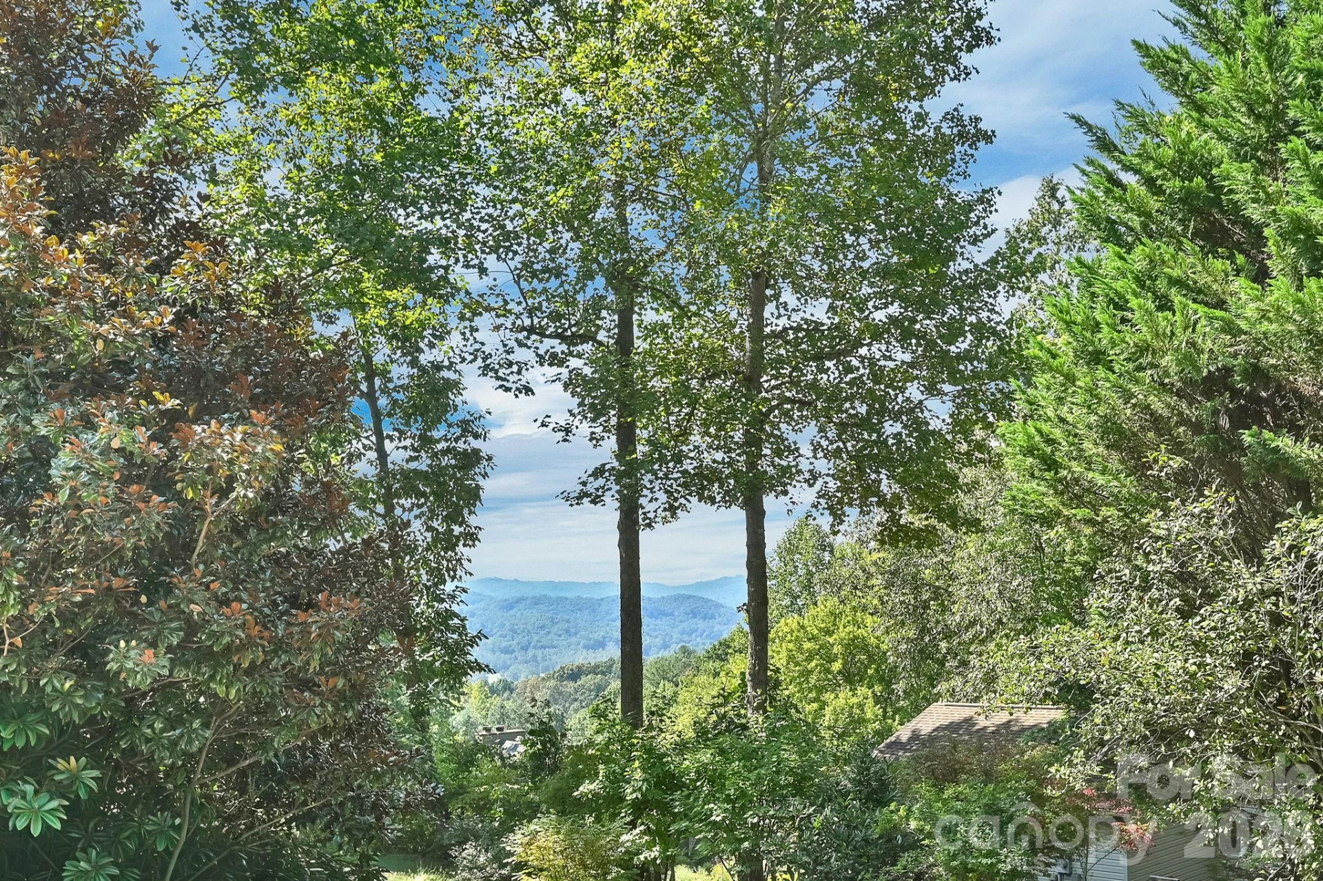 4311 Cove Loop Road - Photo 4