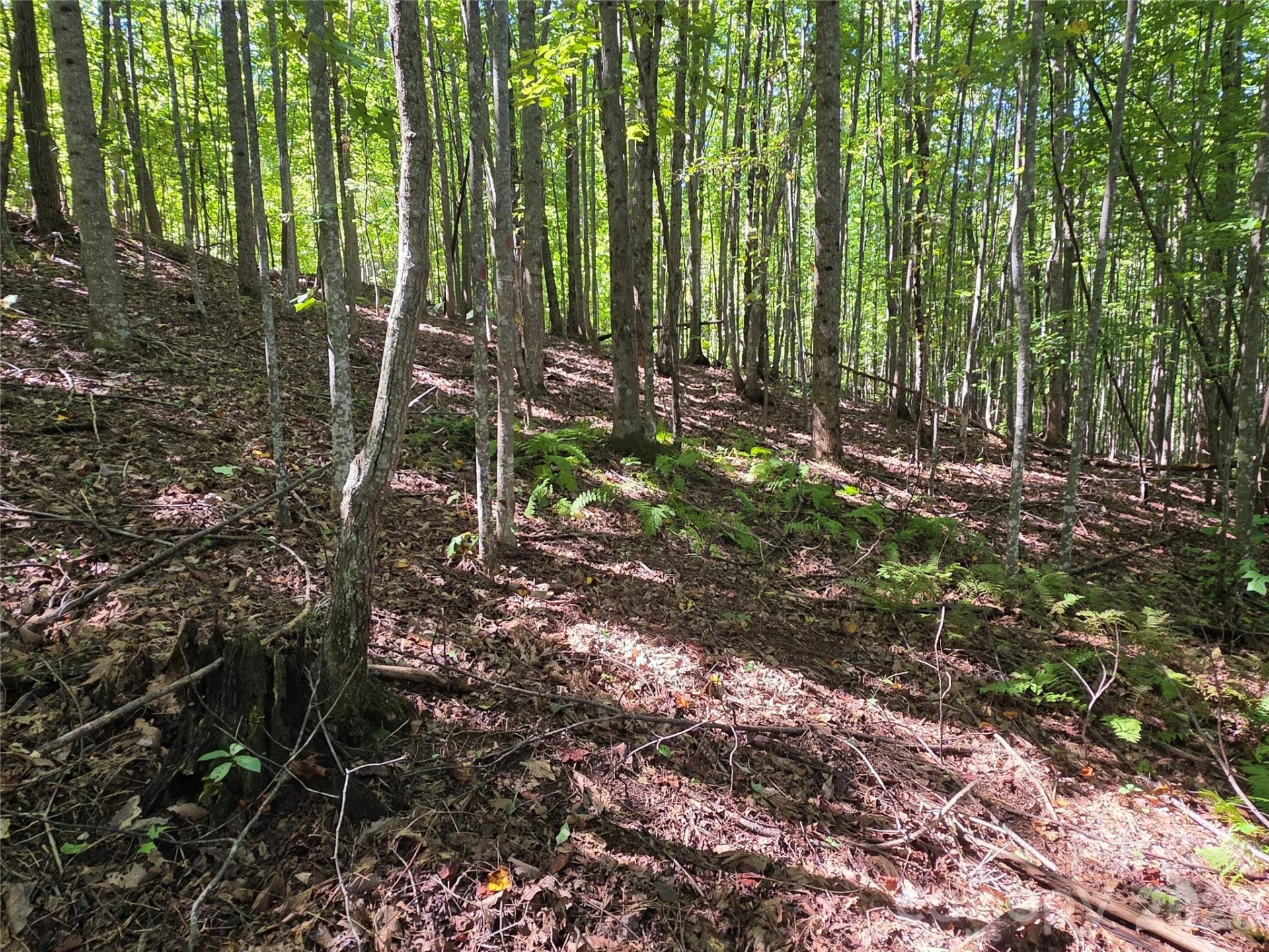 19 Meditation Ridge Drive - Photo 2