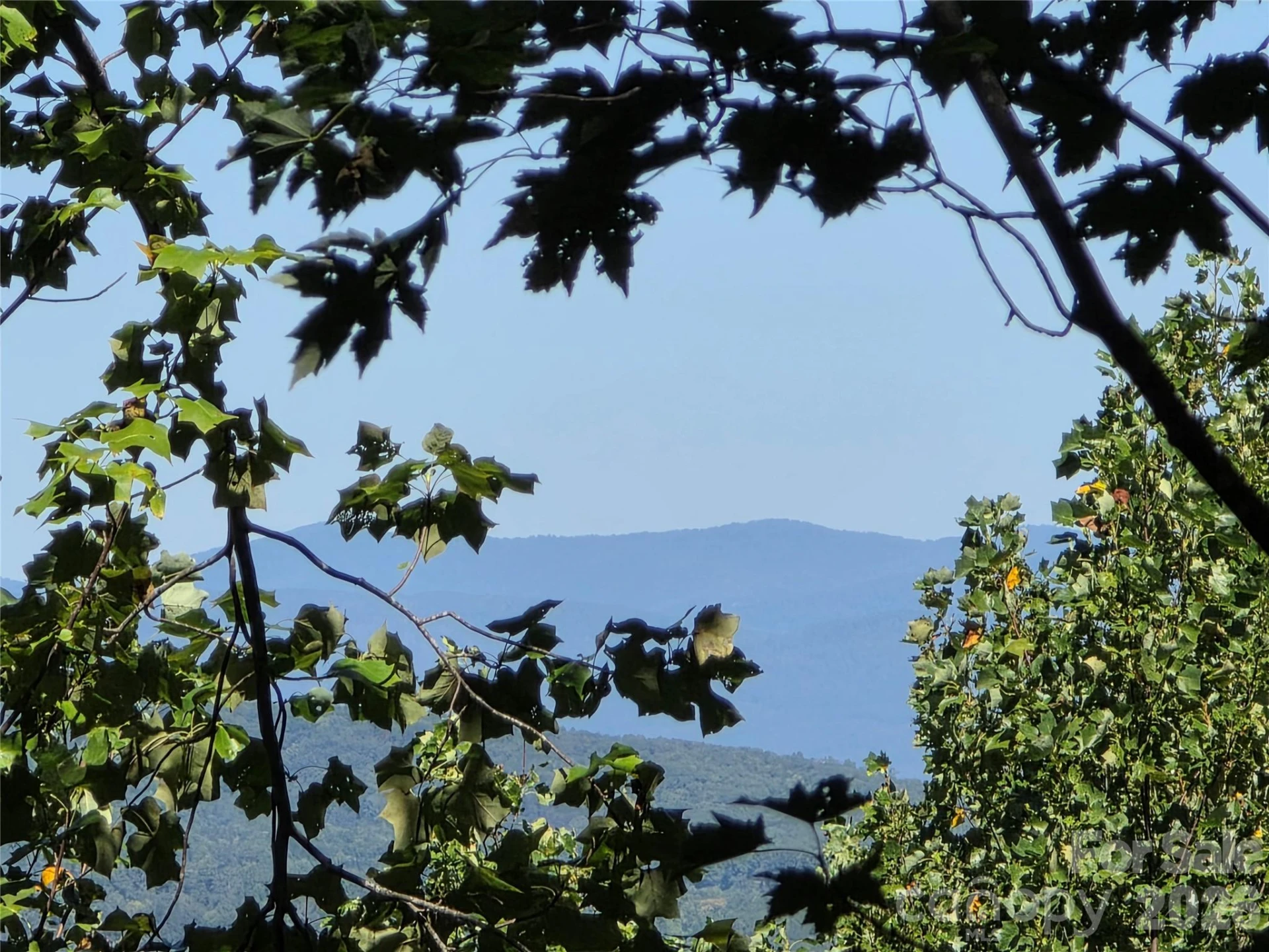19 Meditation Ridge Drive - Photo 3