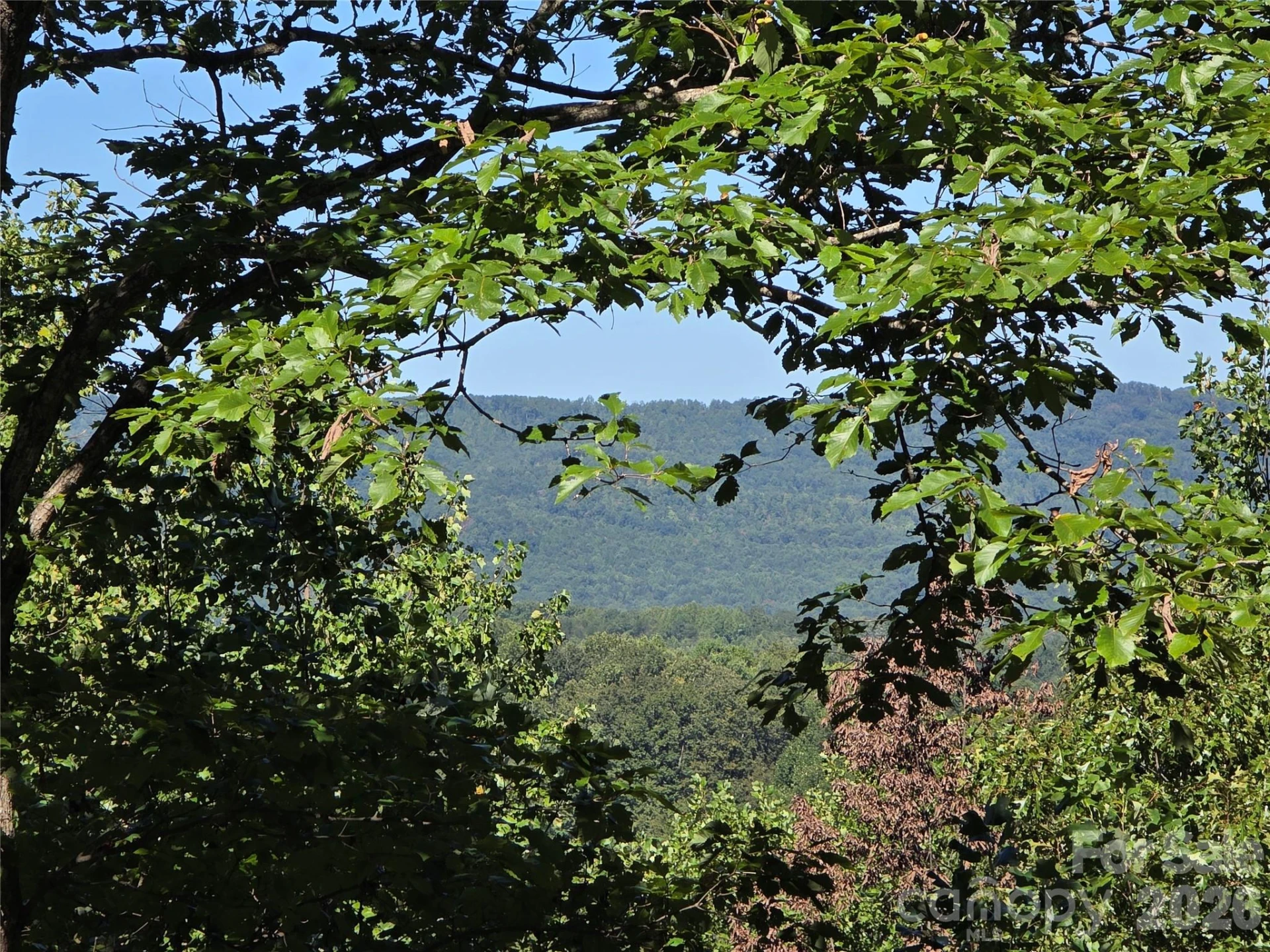 19 Meditation Ridge Drive - Photo 4
