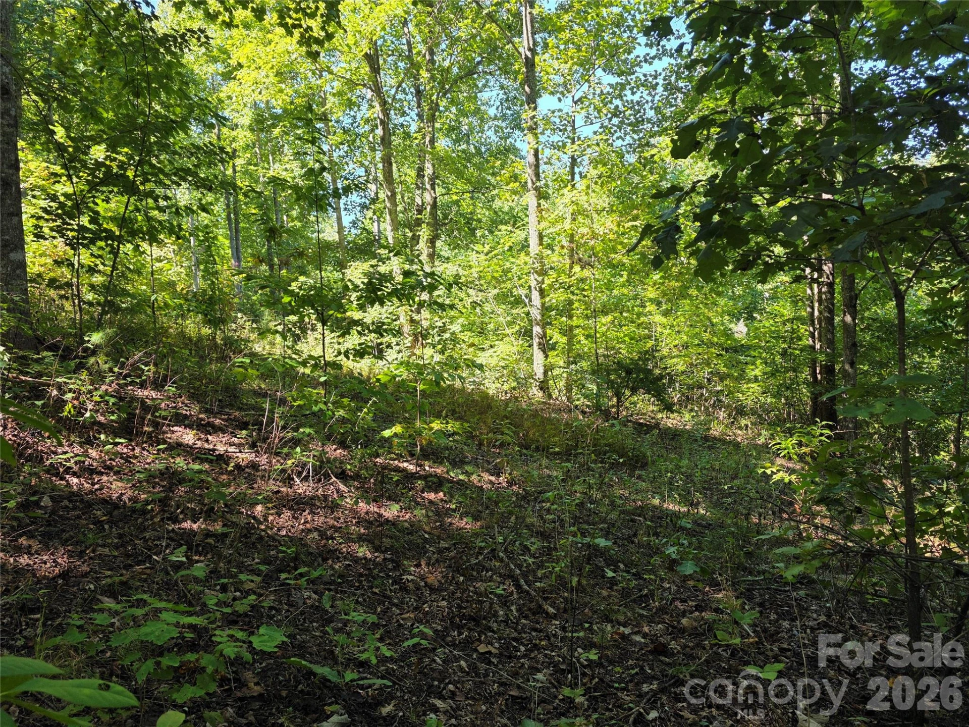 19 Meditation Ridge Drive - Photo 6