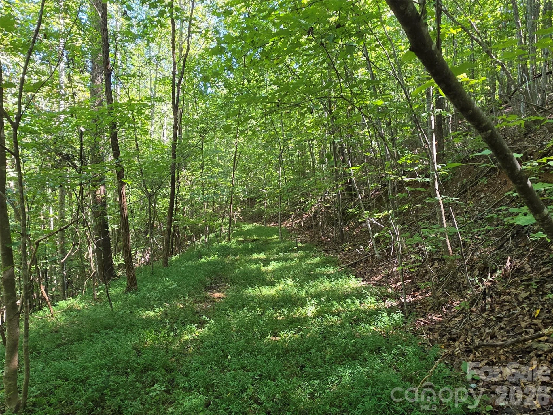 19 Meditation Ridge Drive - Photo 7