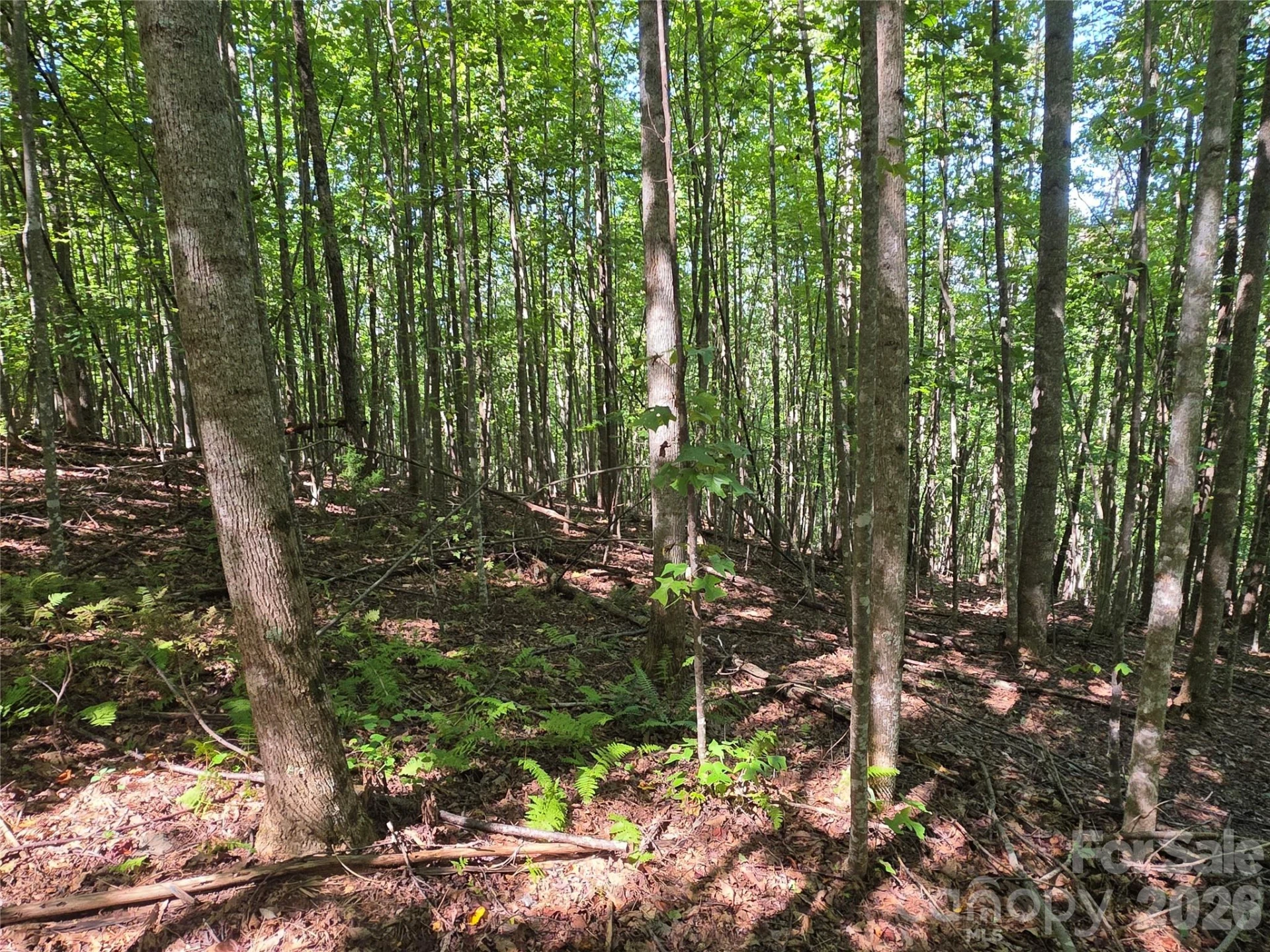 19 Meditation Ridge Drive - Photo 10