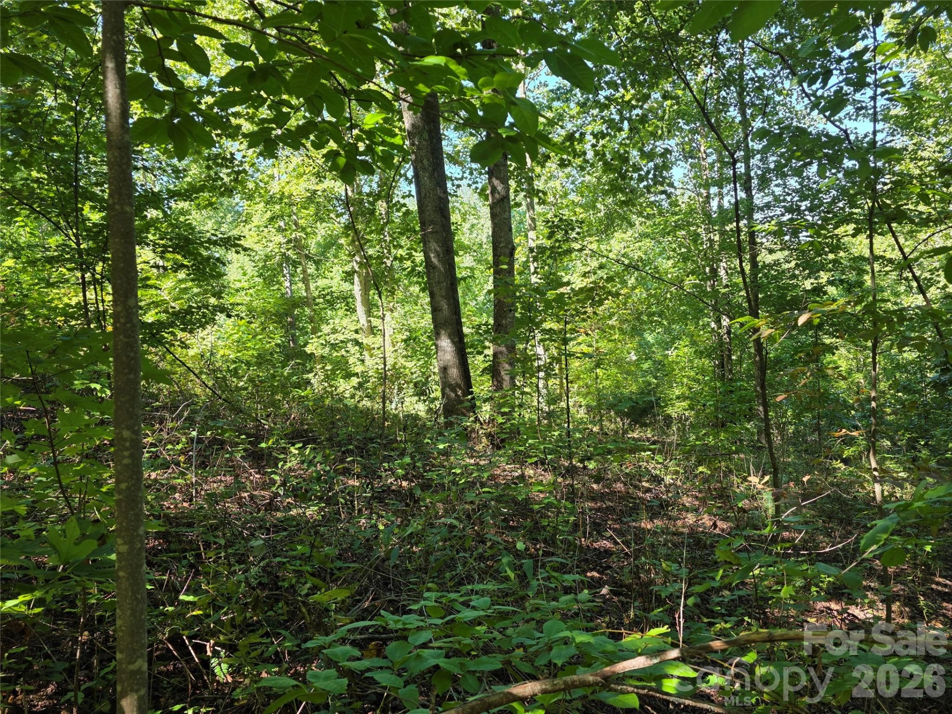 19 Meditation Ridge Drive - Photo 12