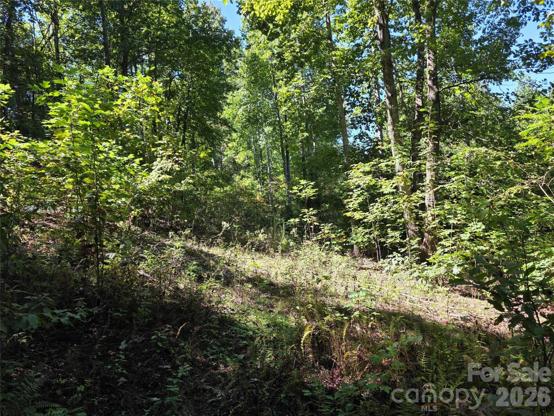 19 Meditation Ridge Drive - Photo 13