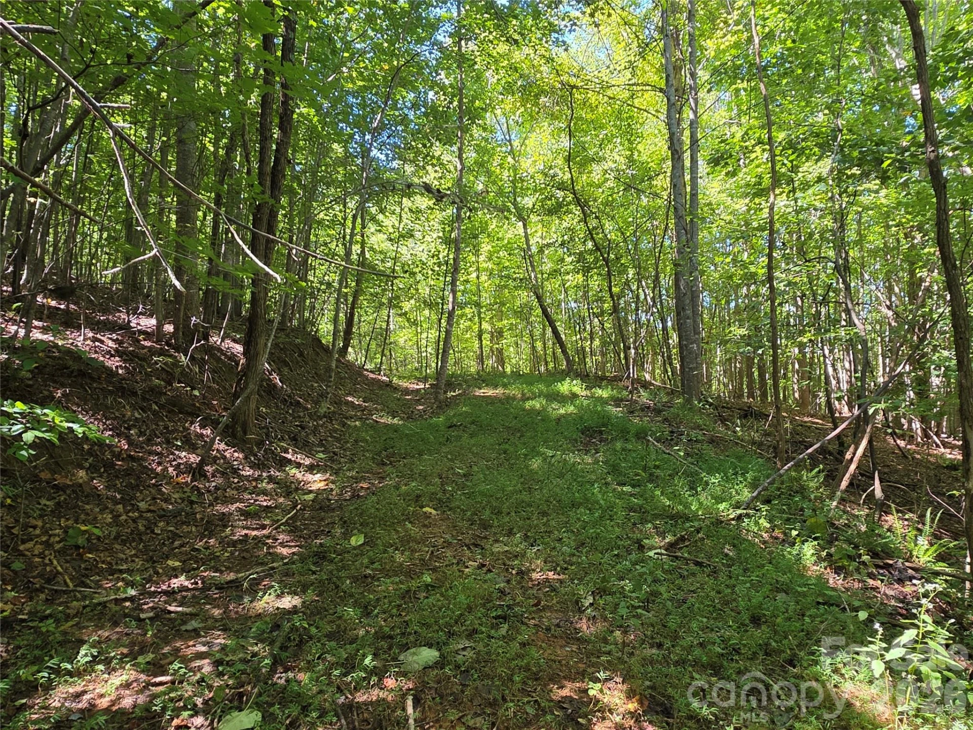 19 Meditation Ridge Drive - Photo 14