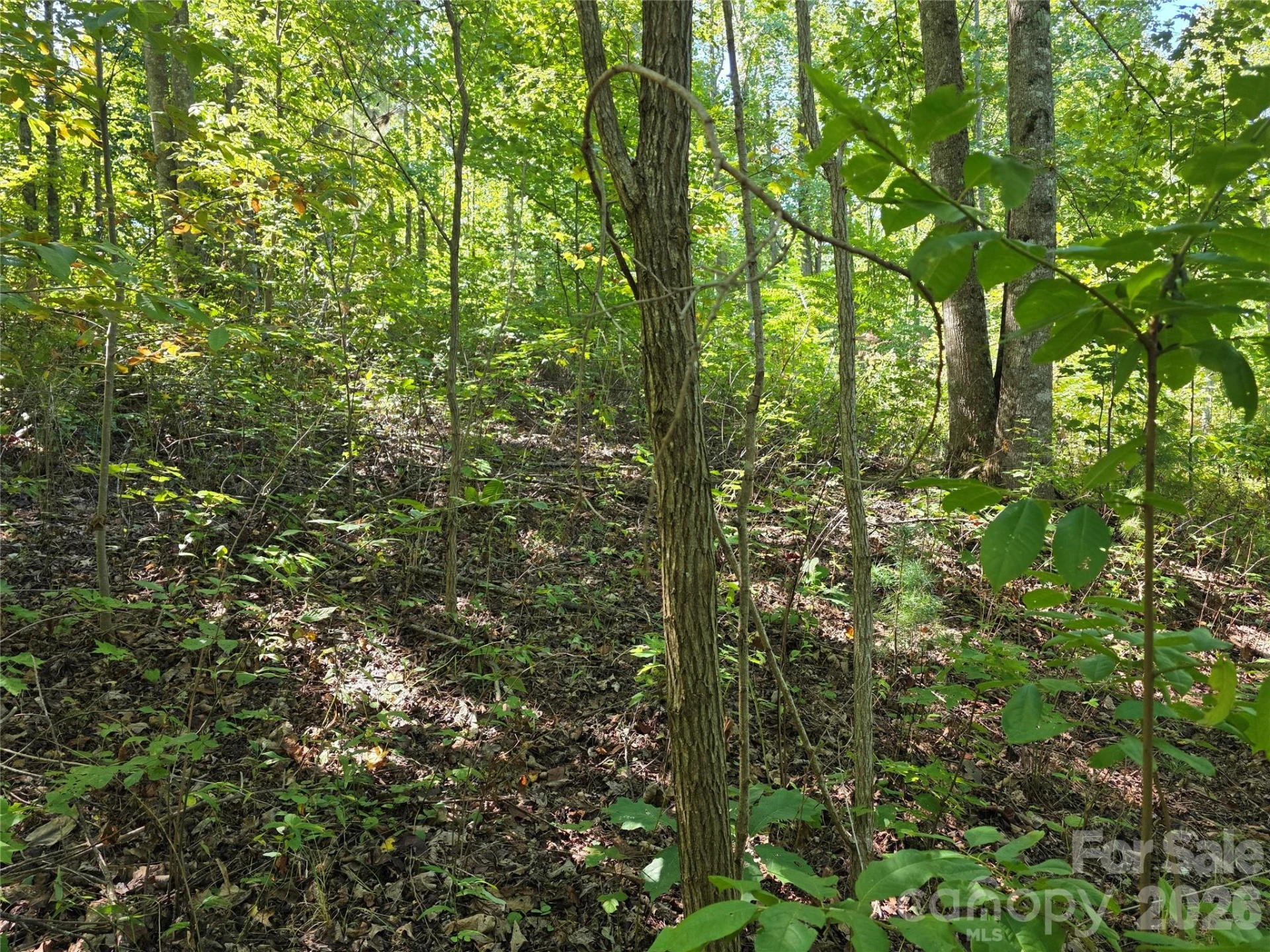 19 Meditation Ridge Drive - Photo 15