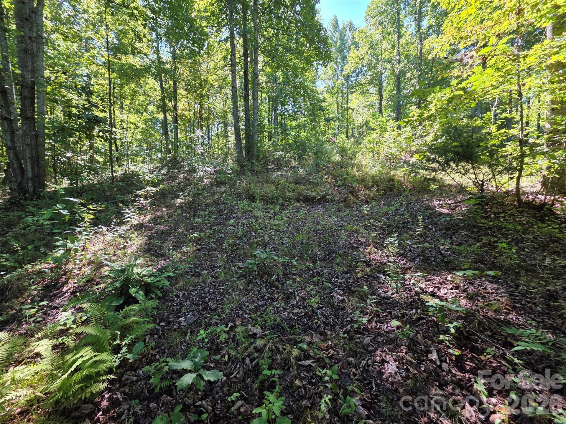 19 Meditation Ridge Drive - Photo 18