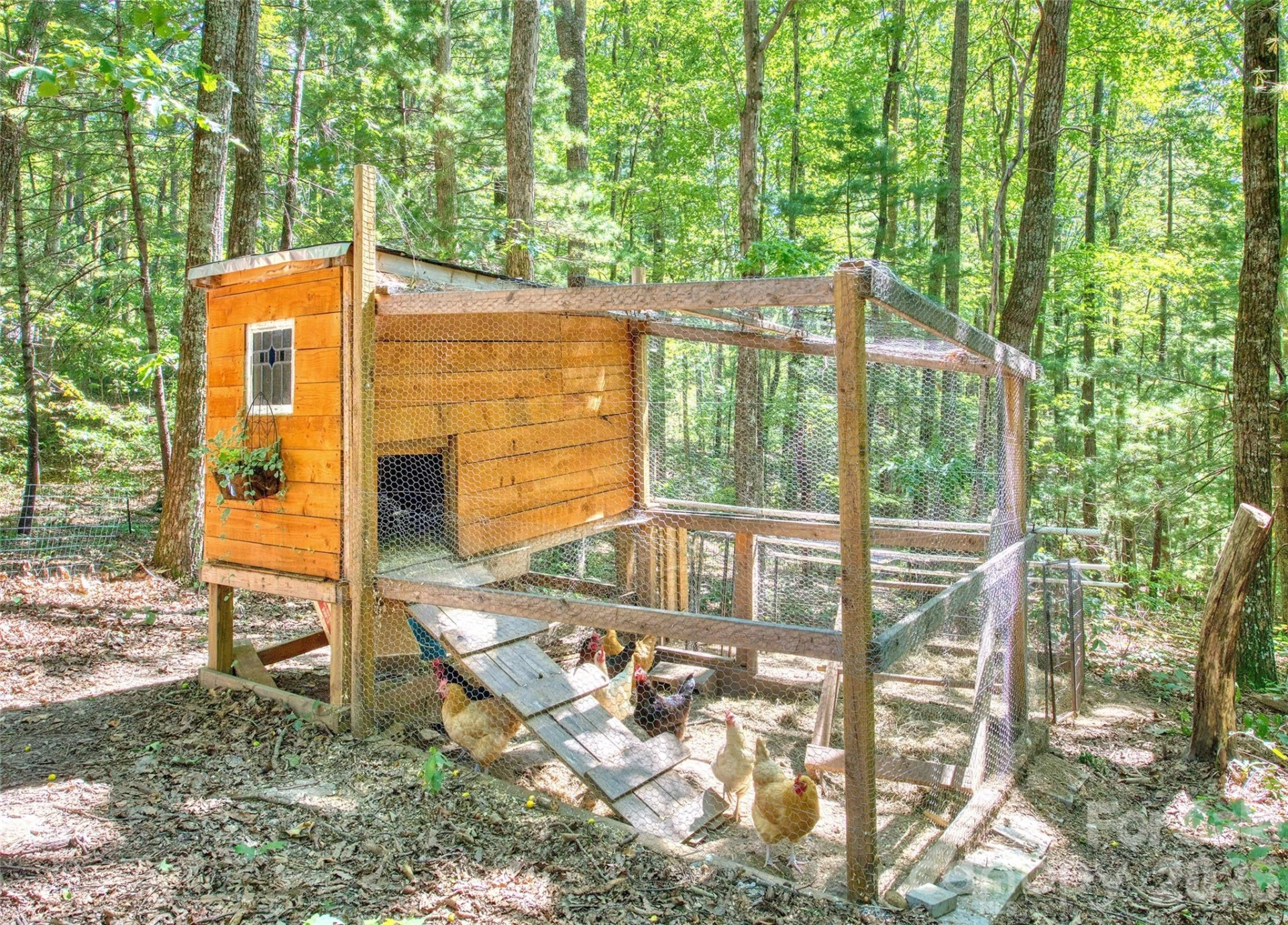 28 Gentlewood Trail - Photo 8