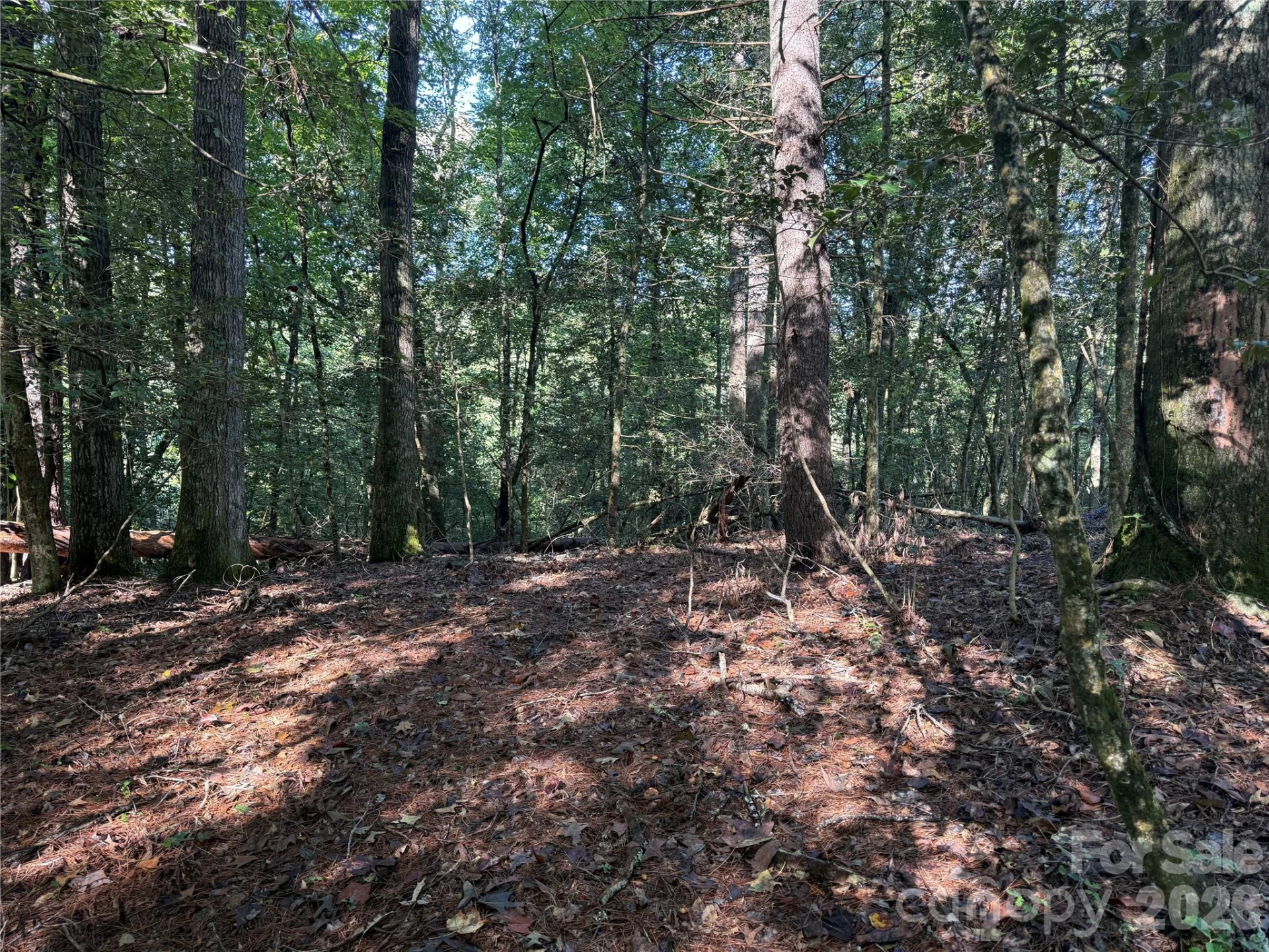 000 Reserve Way #10 - Photo 6