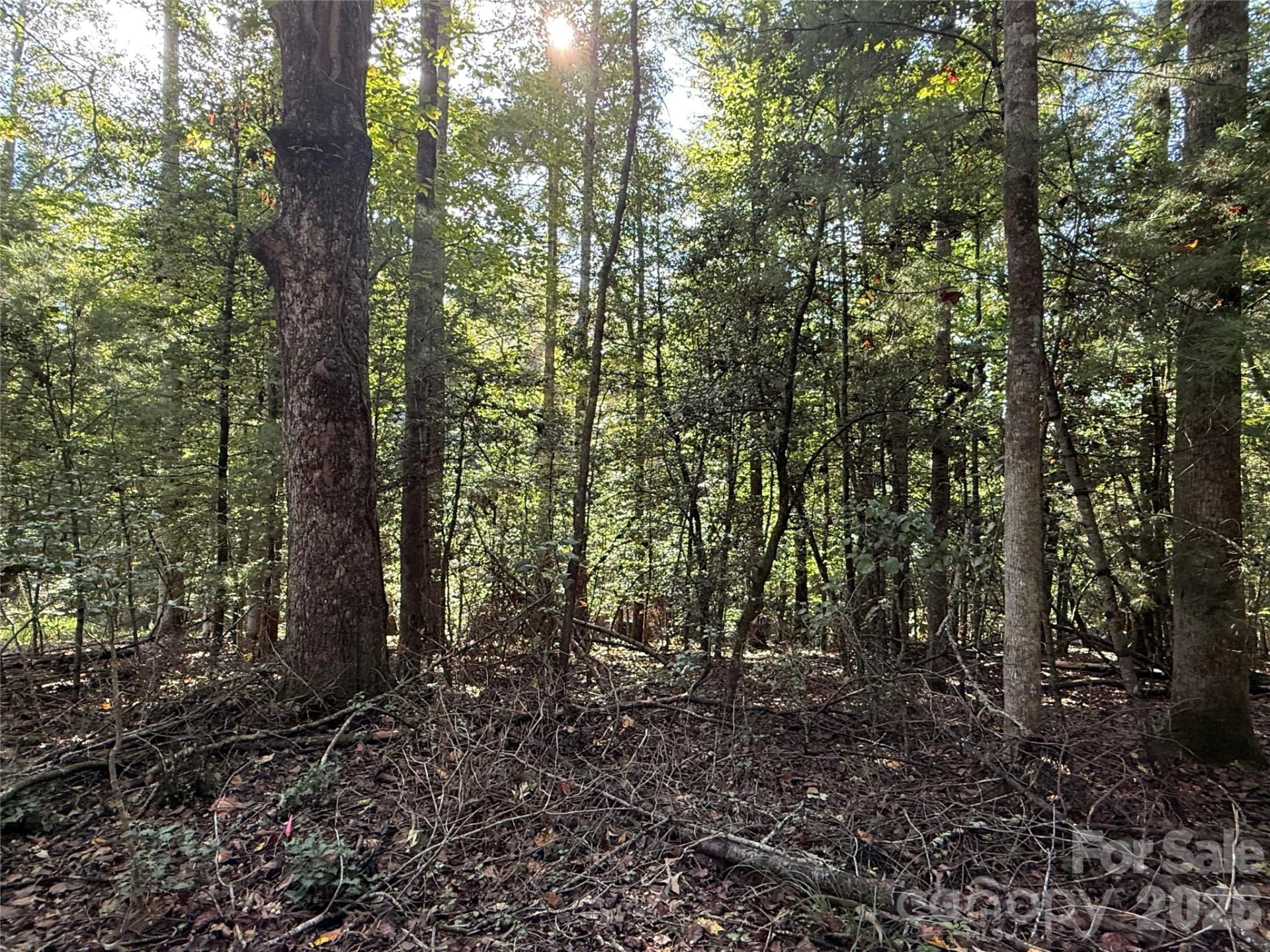 000 Reserve Way #10 - Photo 8