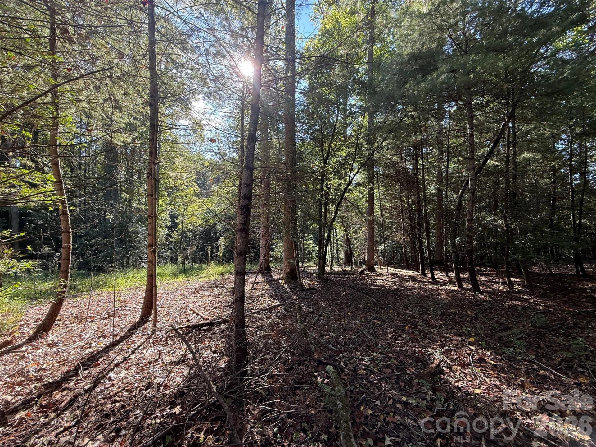 000 Reserve Way #10 - Photo 10