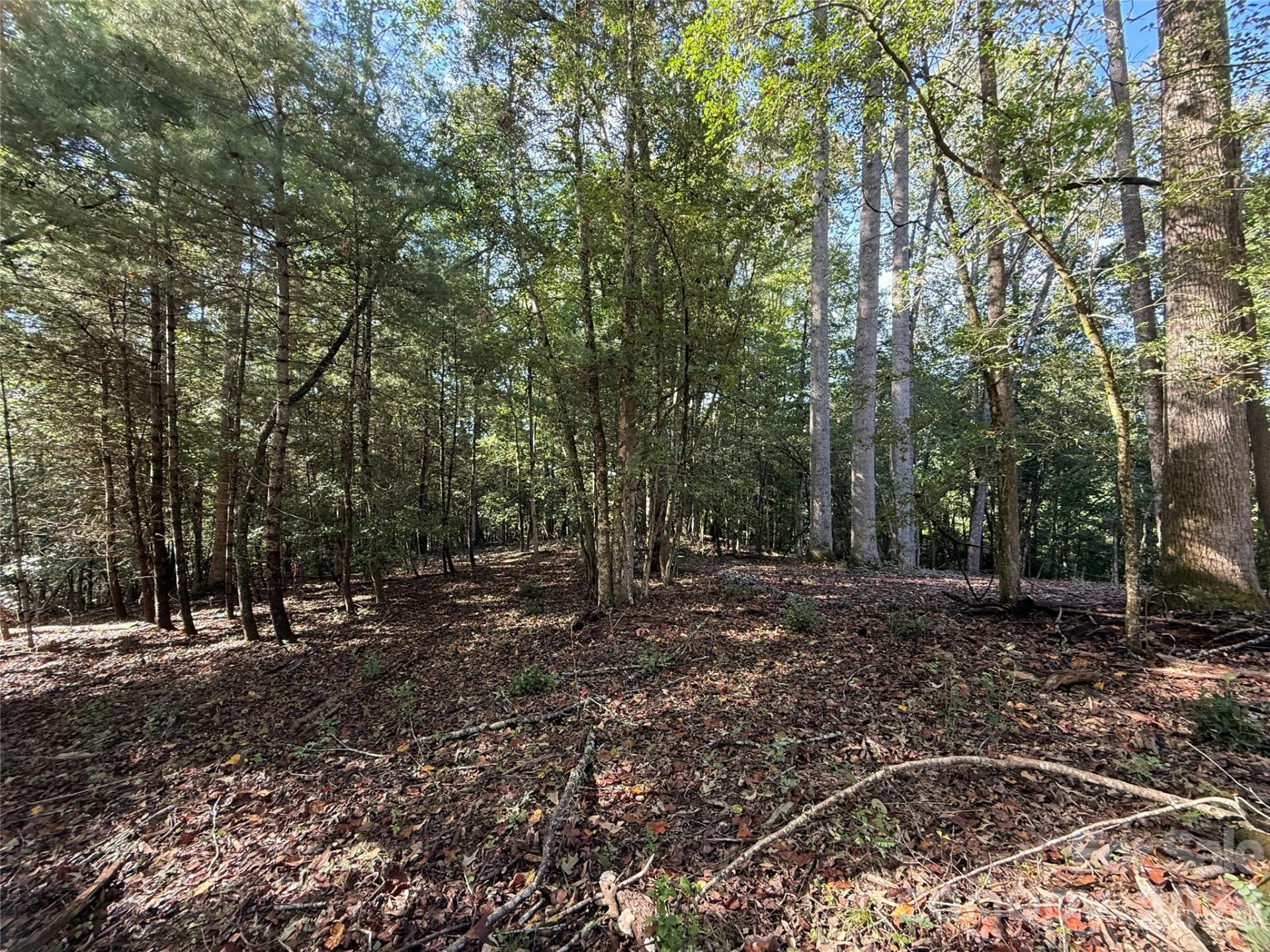 000 Reserve Way #10 - Photo 11