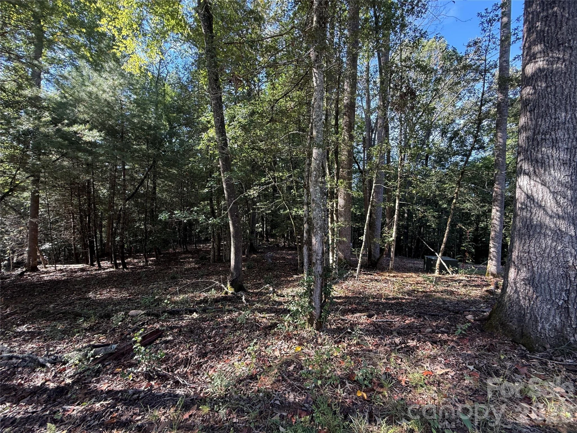 000 Reserve Way #10 - Photo 12