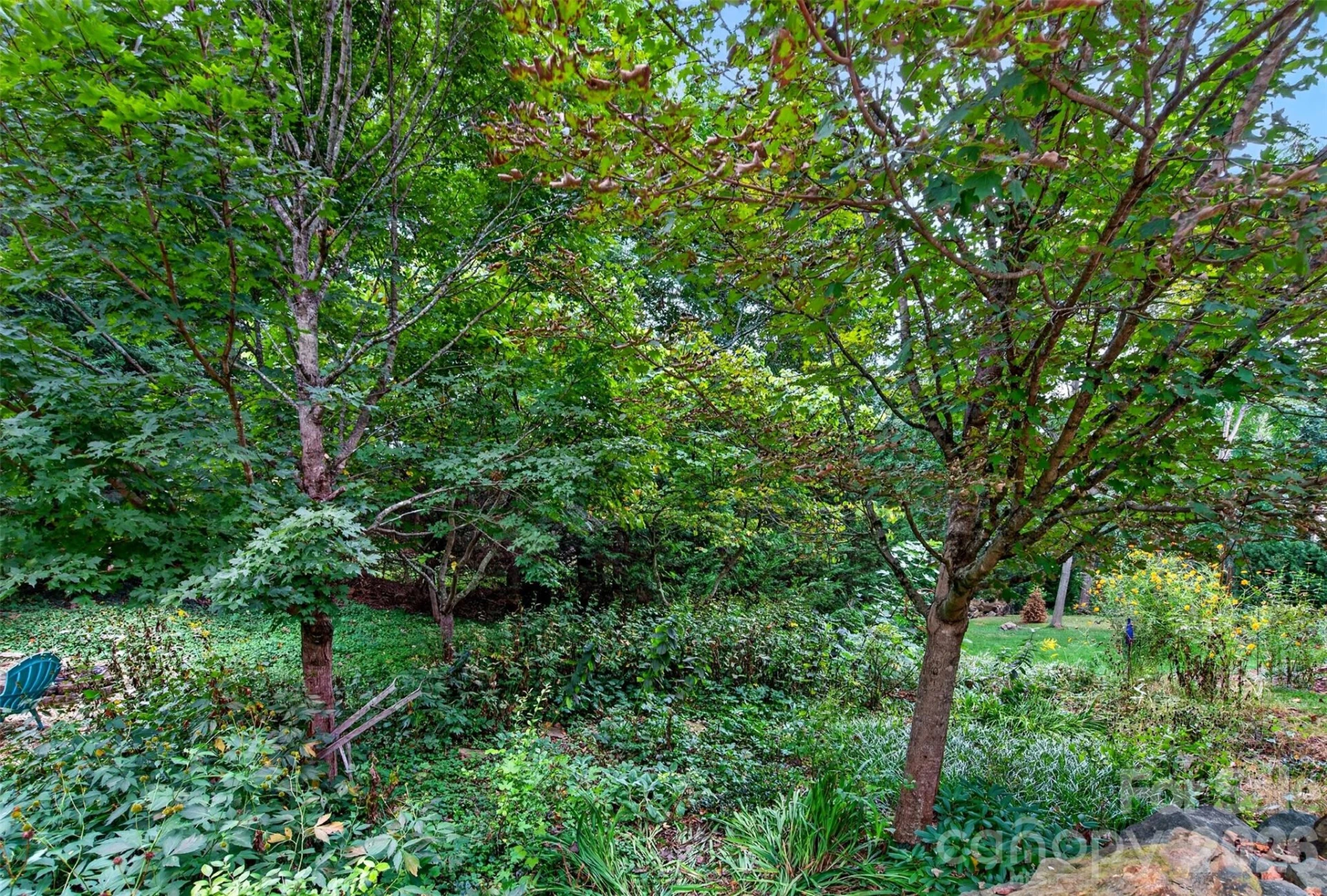 18 Sulphur Springs Road - Photo 41