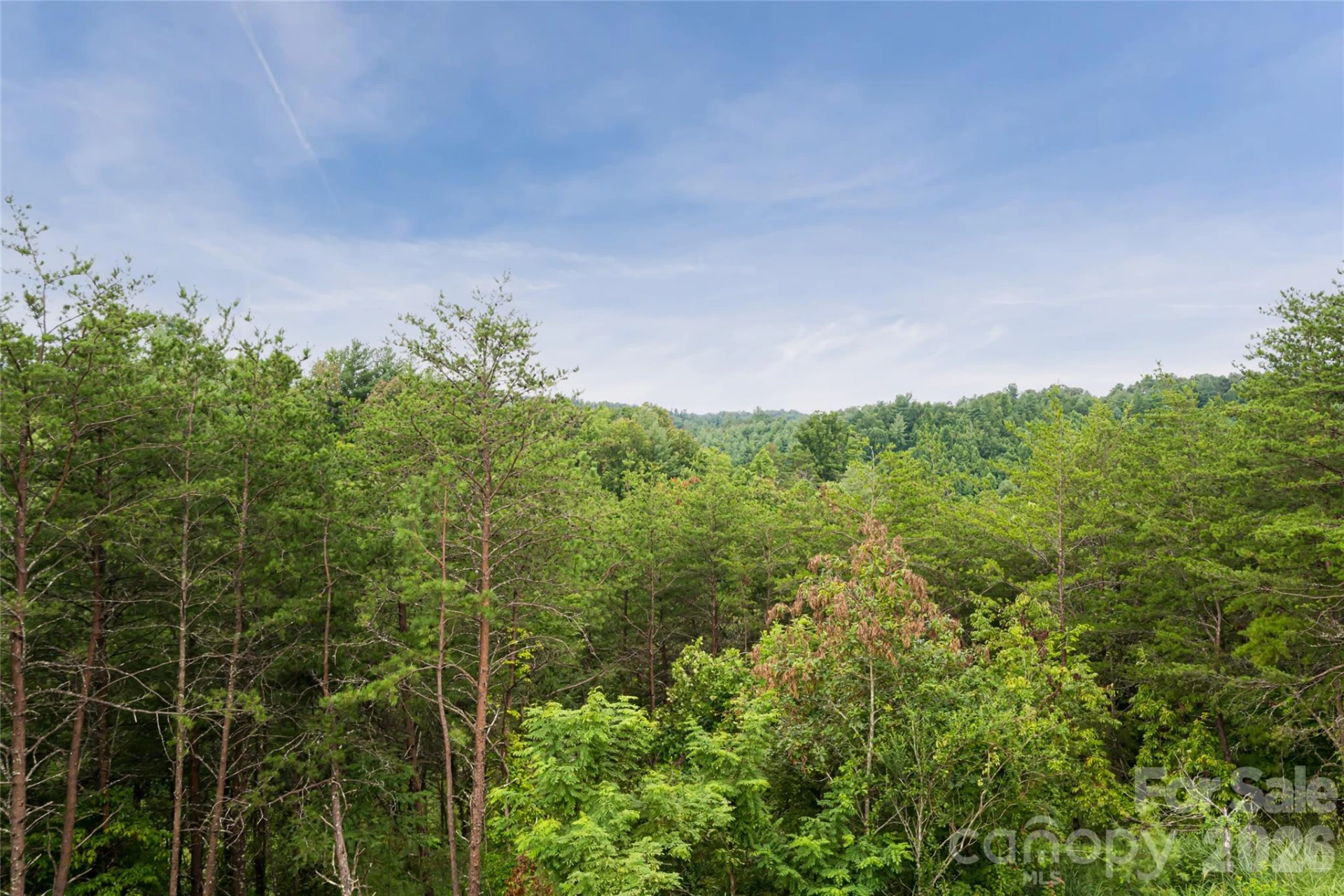 181 Flint Morgan Road - Photo 21