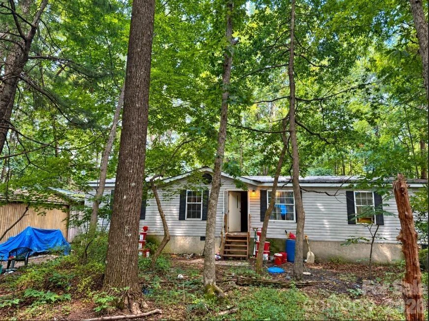 169 Bob Cat Spur Lane