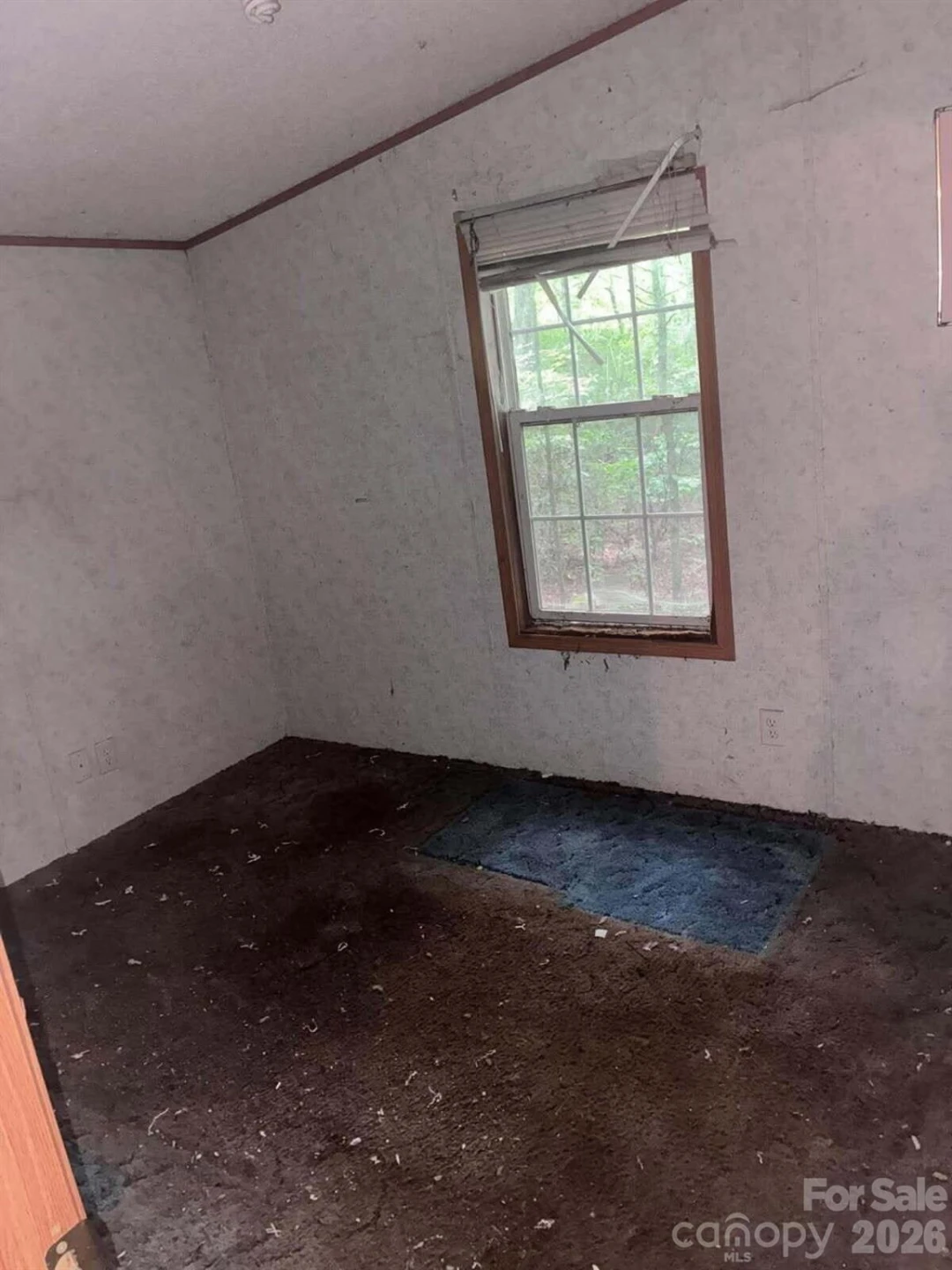 169 Bob Cat Spur Lane - Photo 8
