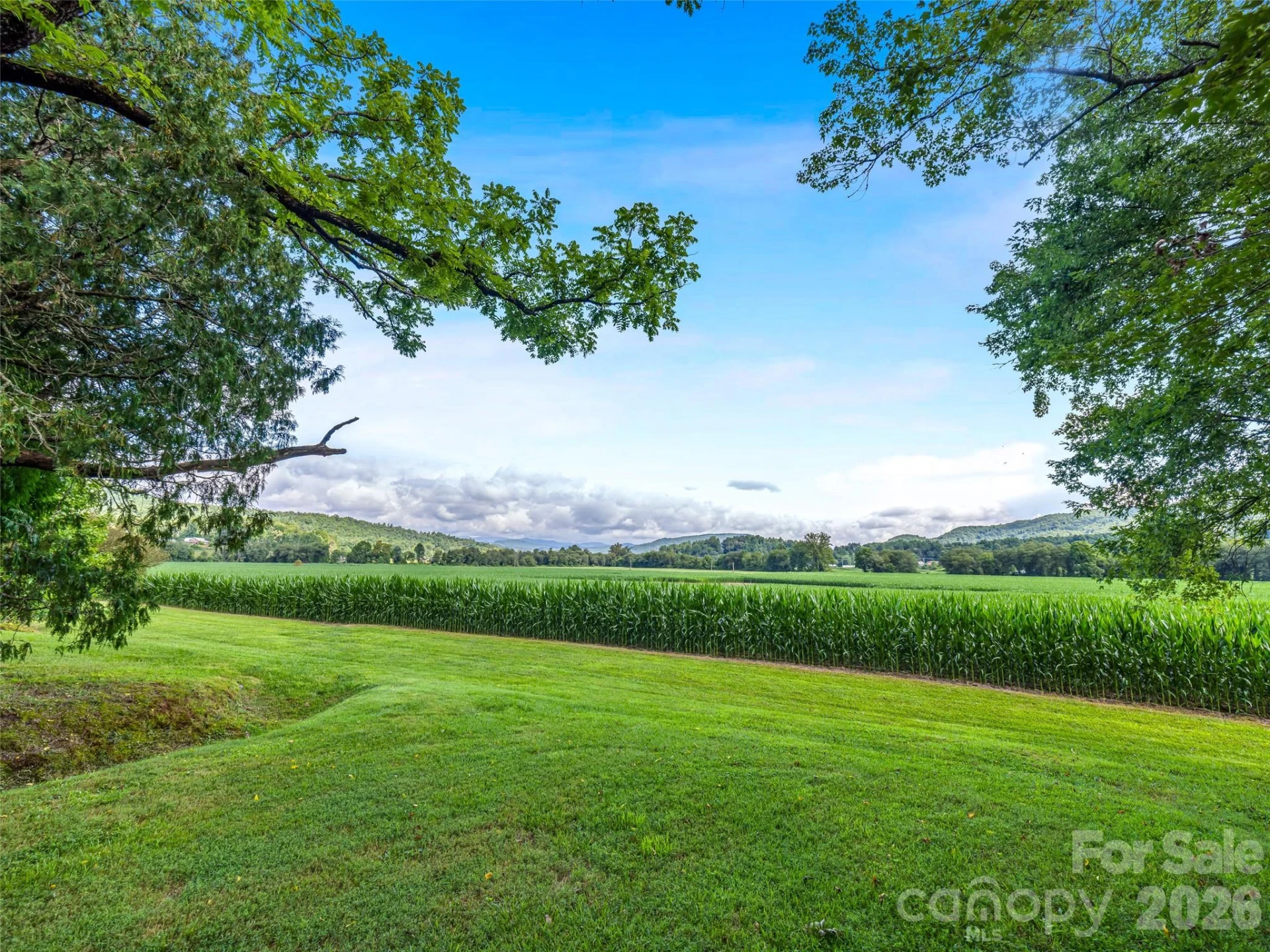 96 Merle Farm Lane - Photo 2