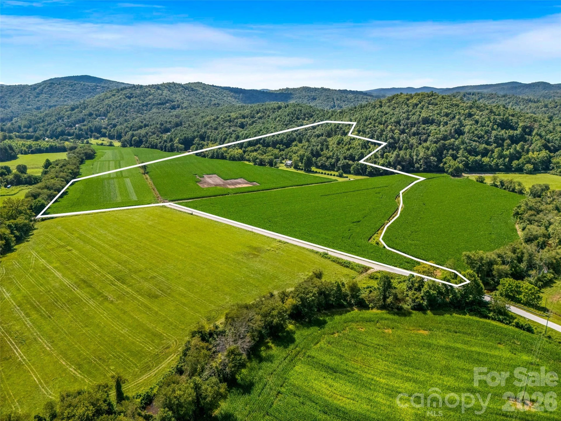 96 Merle Farm Lane - Photo 3