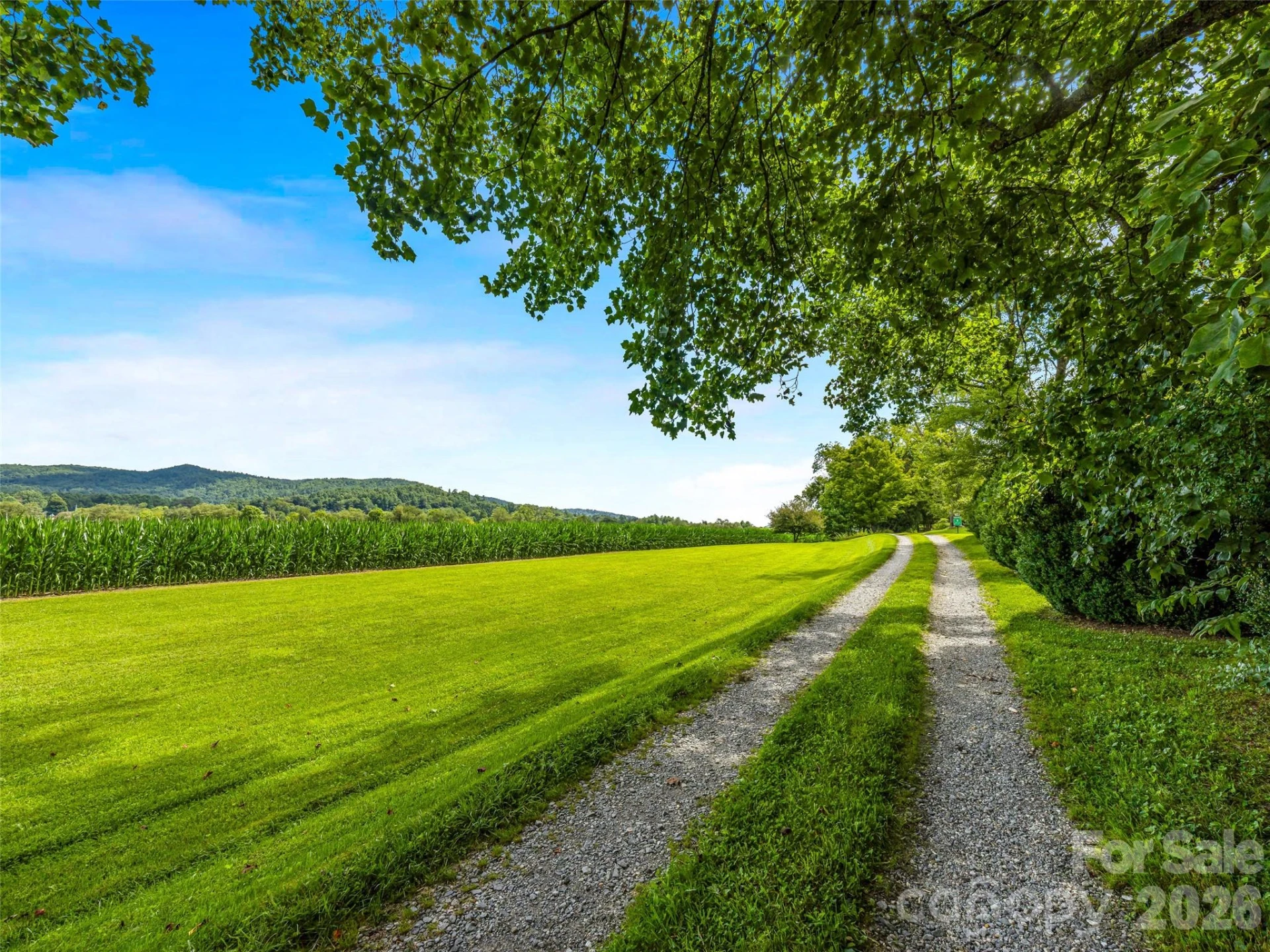 96 Merle Farm Lane - Photo 5