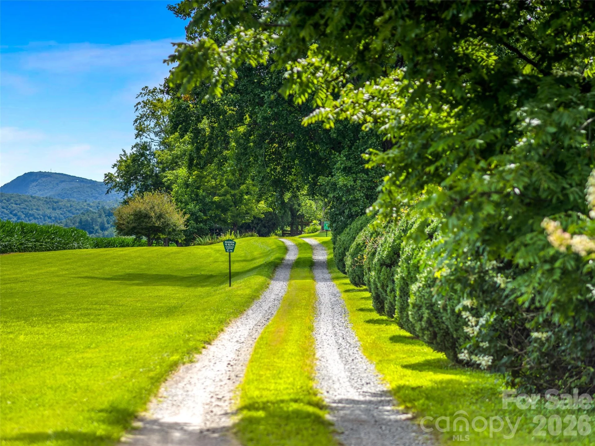 96 Merle Farm Lane - Photo 21