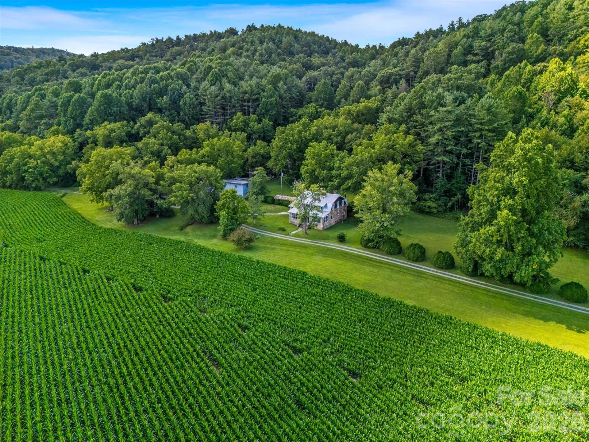 96 Merle Farm Lane - Photo 29