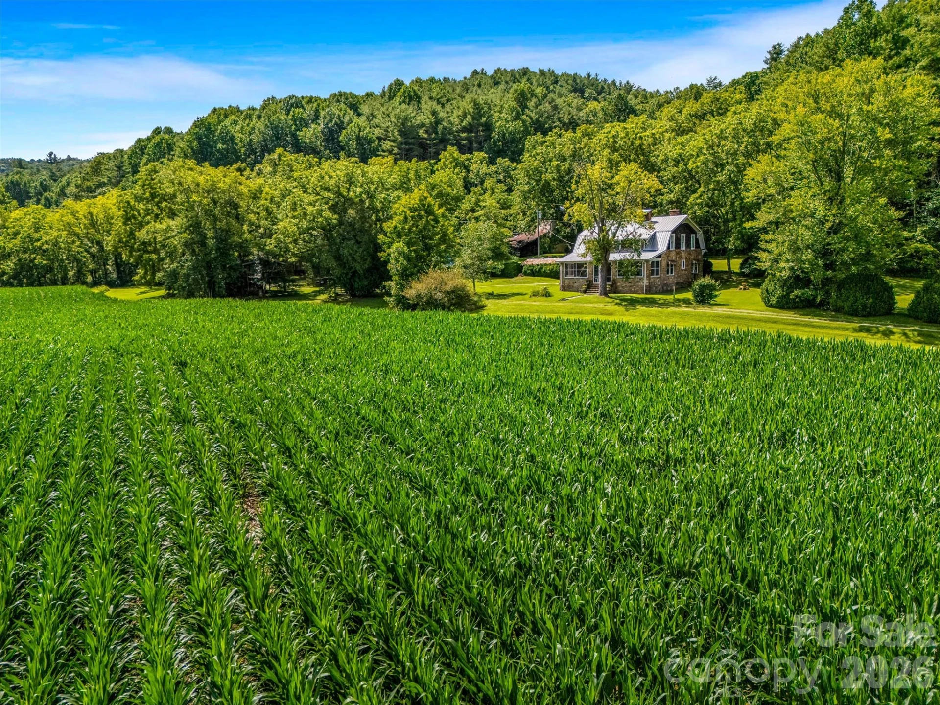 96 Merle Farm Lane - Photo 30