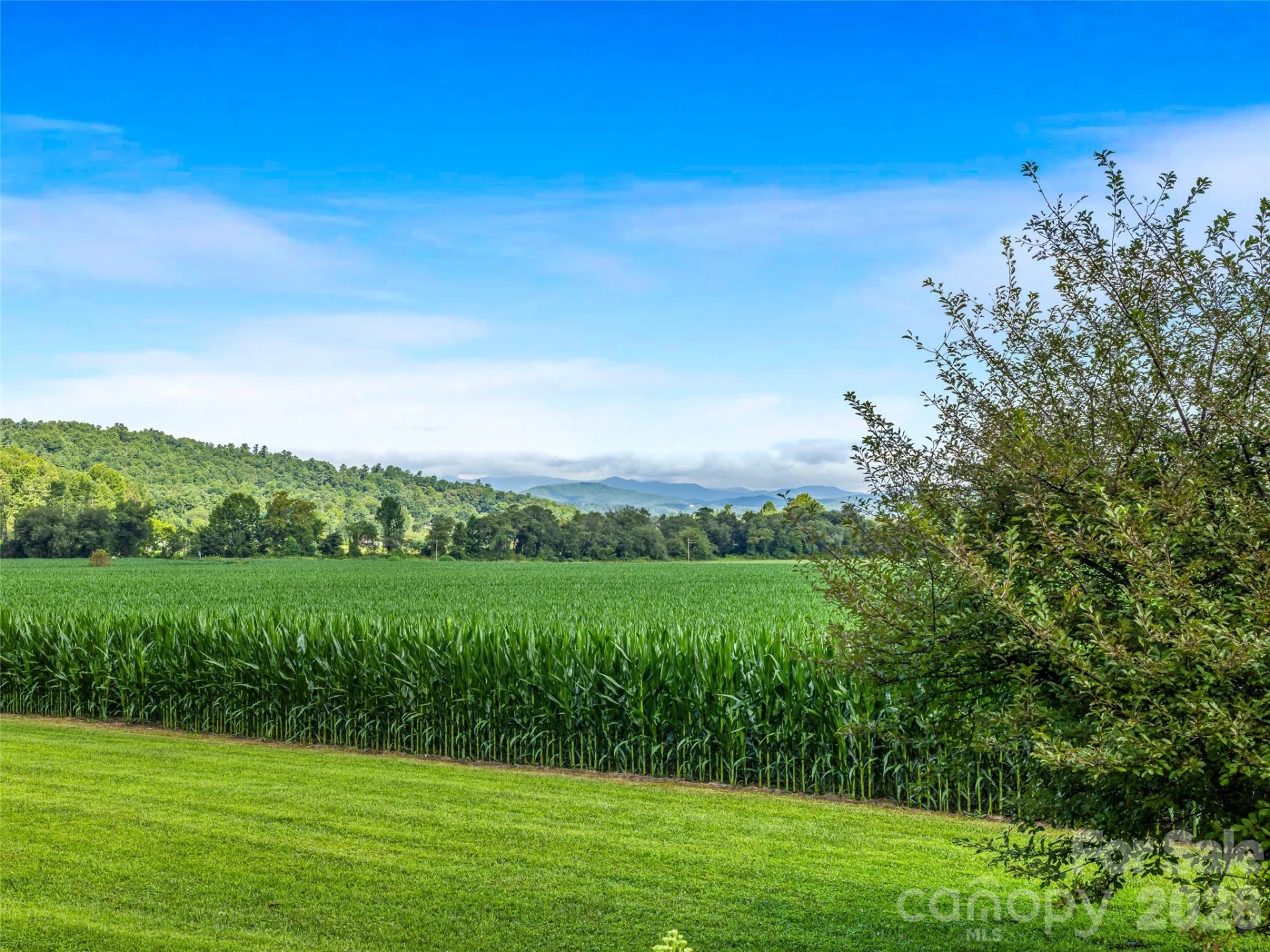 96 Merle Farm Lane - Photo 32