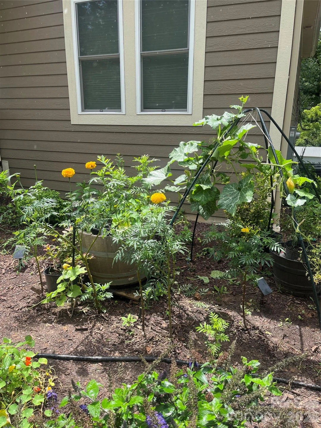 131 Ridge Road - Photo 40