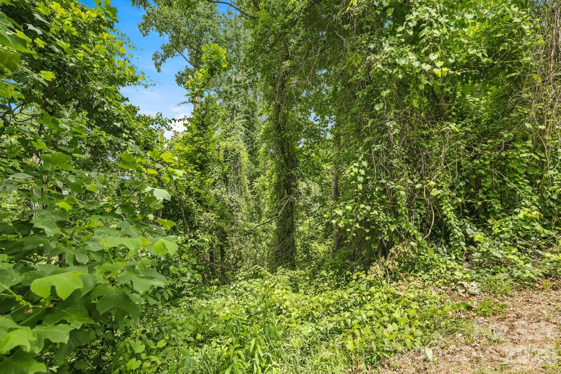 999 Perrion Avenue #18 - Photo 15