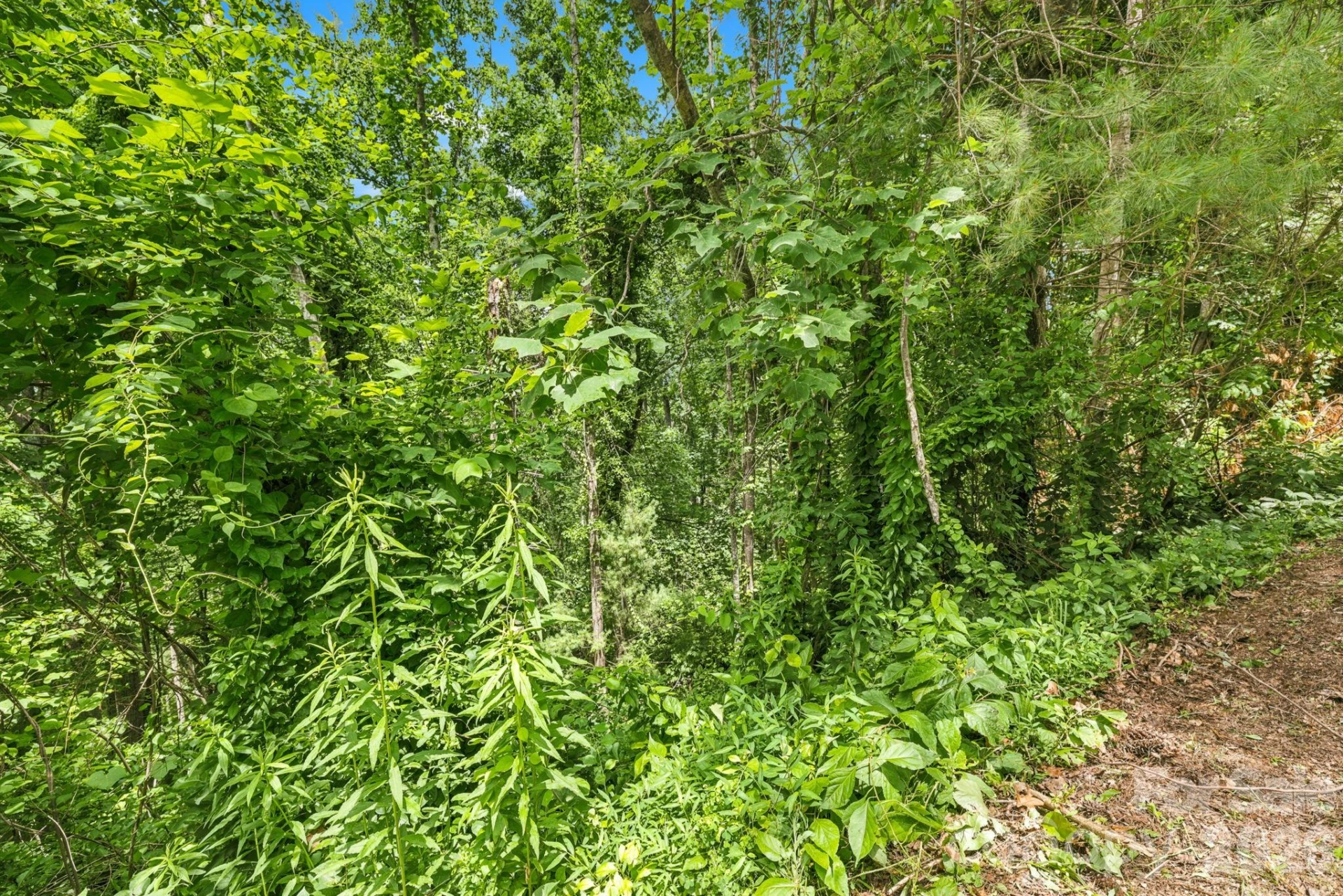 999 Perrion Avenue #18 - Photo 20