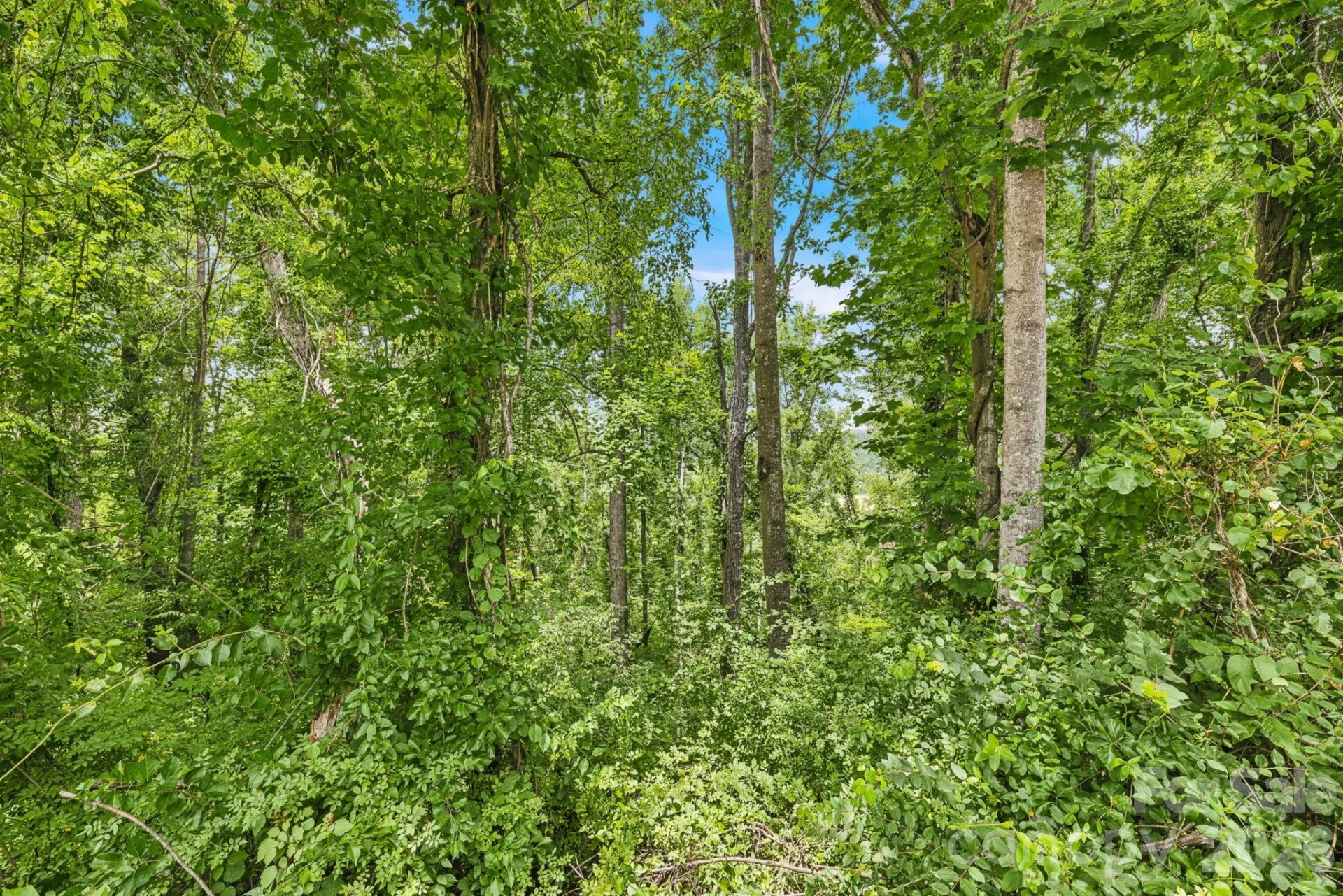 999 Perrion Avenue #18 - Photo 21