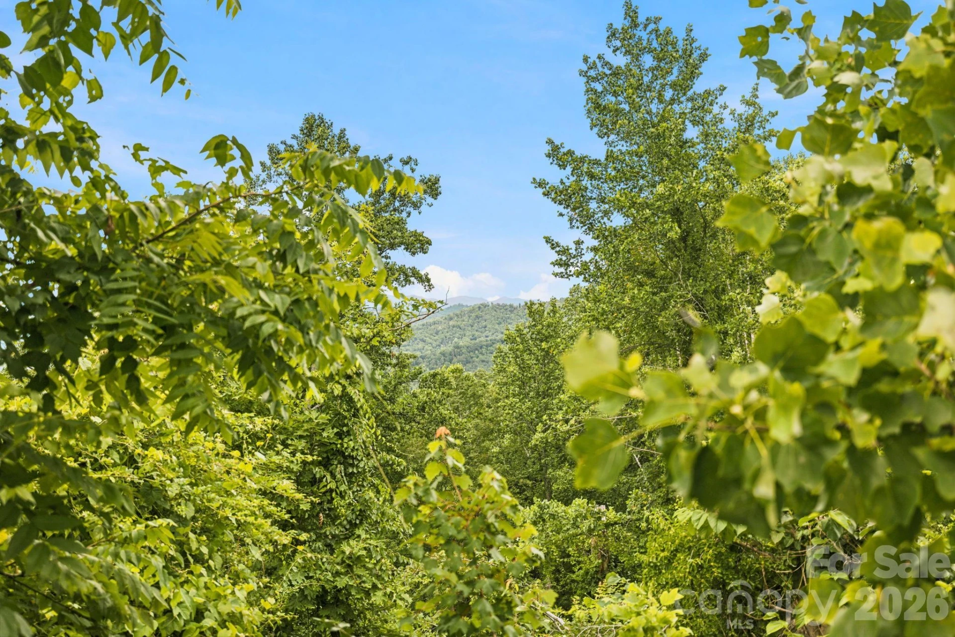 999 Perrion Avenue #18 - Photo 29