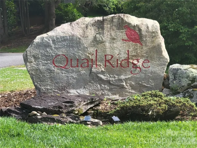 00 Quail Mountain Lane, Waynesville, NC, 28786