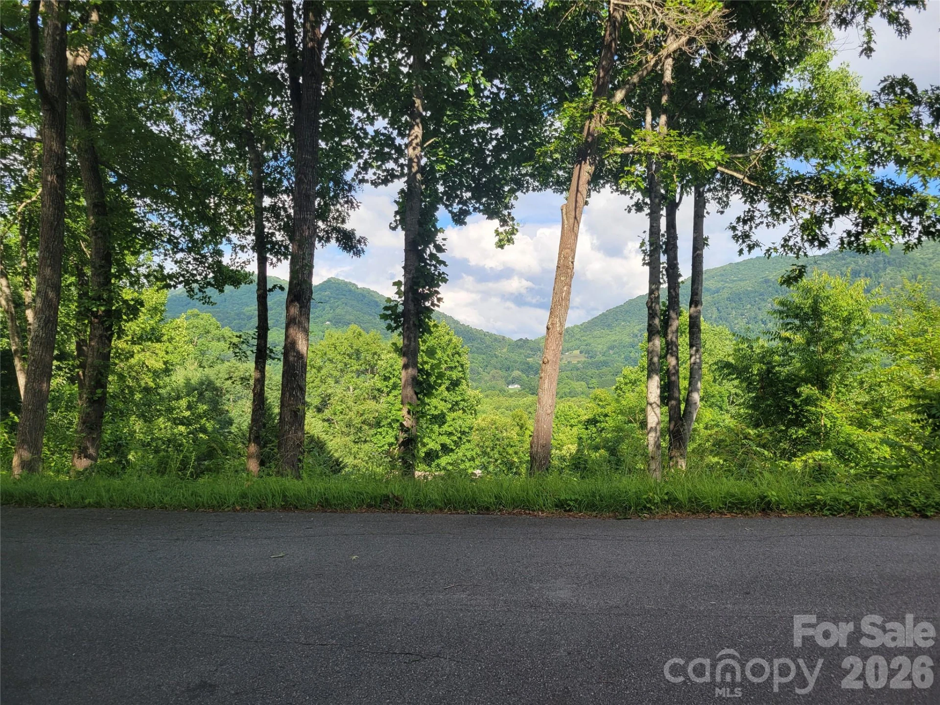 00 Quail Mountain Lane #23 - Photo 4