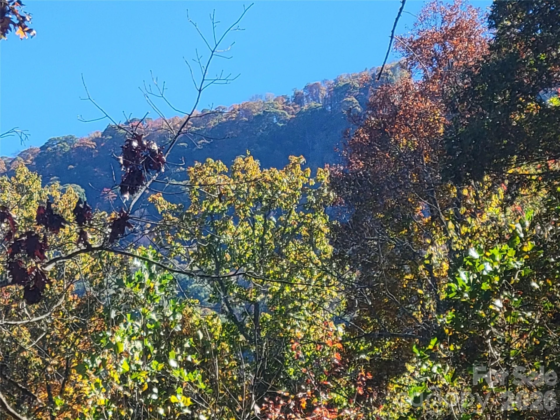 00 Quail Mountain Lane #23 - Photo 5
