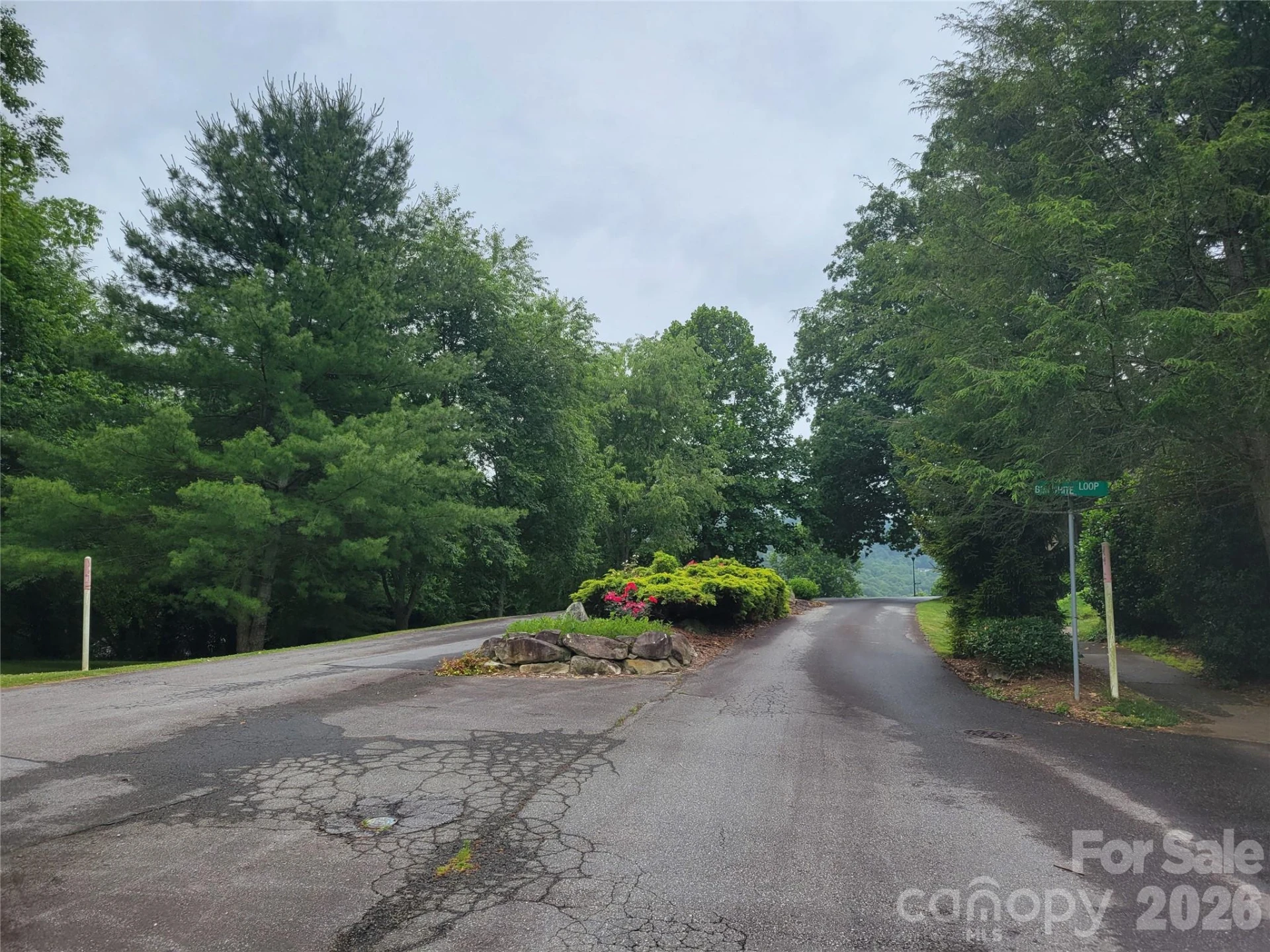 00 Quail Mountain Lane #23 - Photo 6