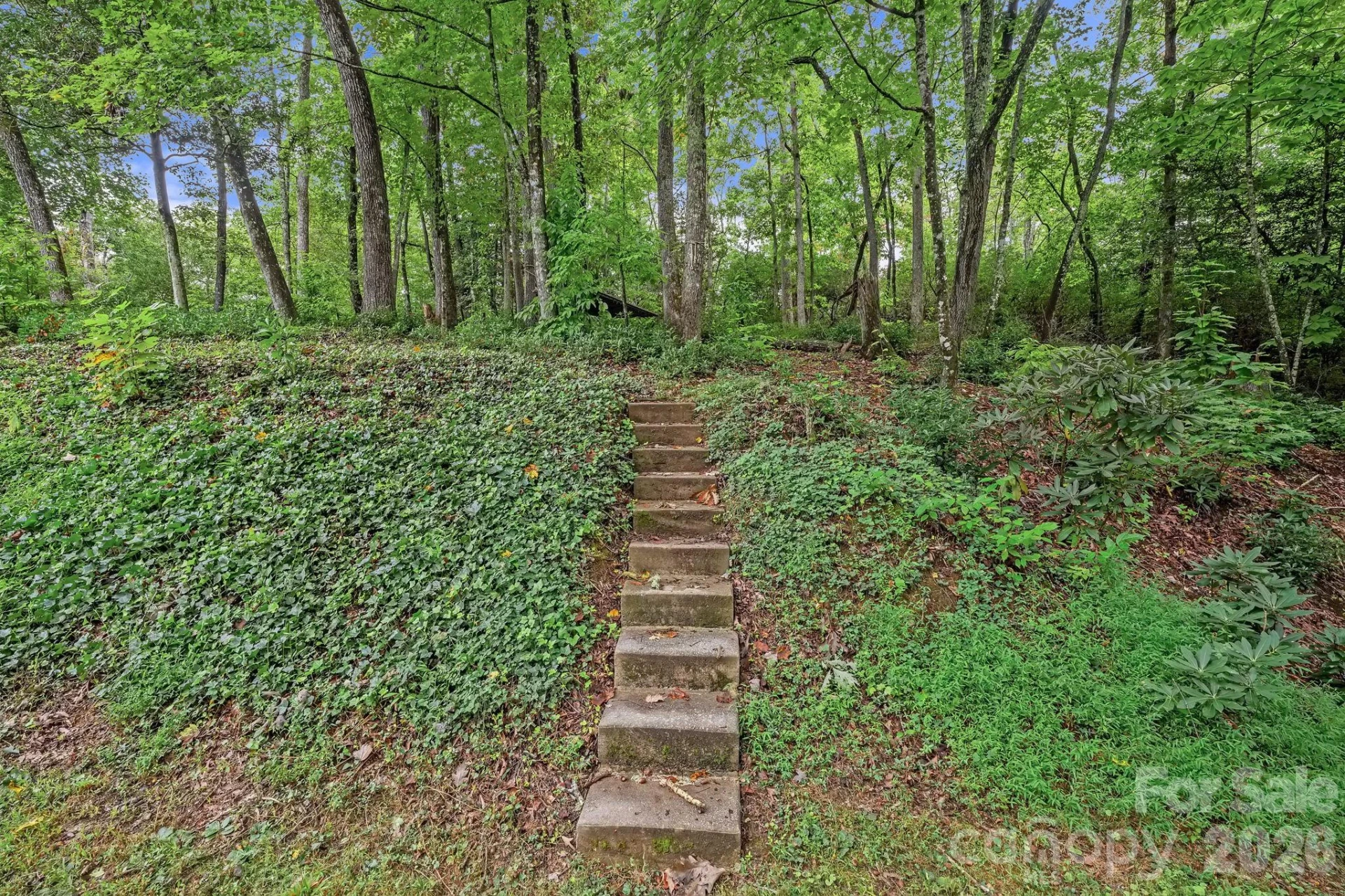3048 Pine Cove Road - Photo 31