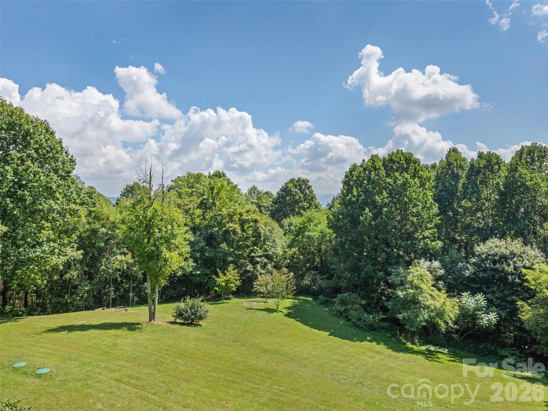 555 Live Oak Loop - Photo 8