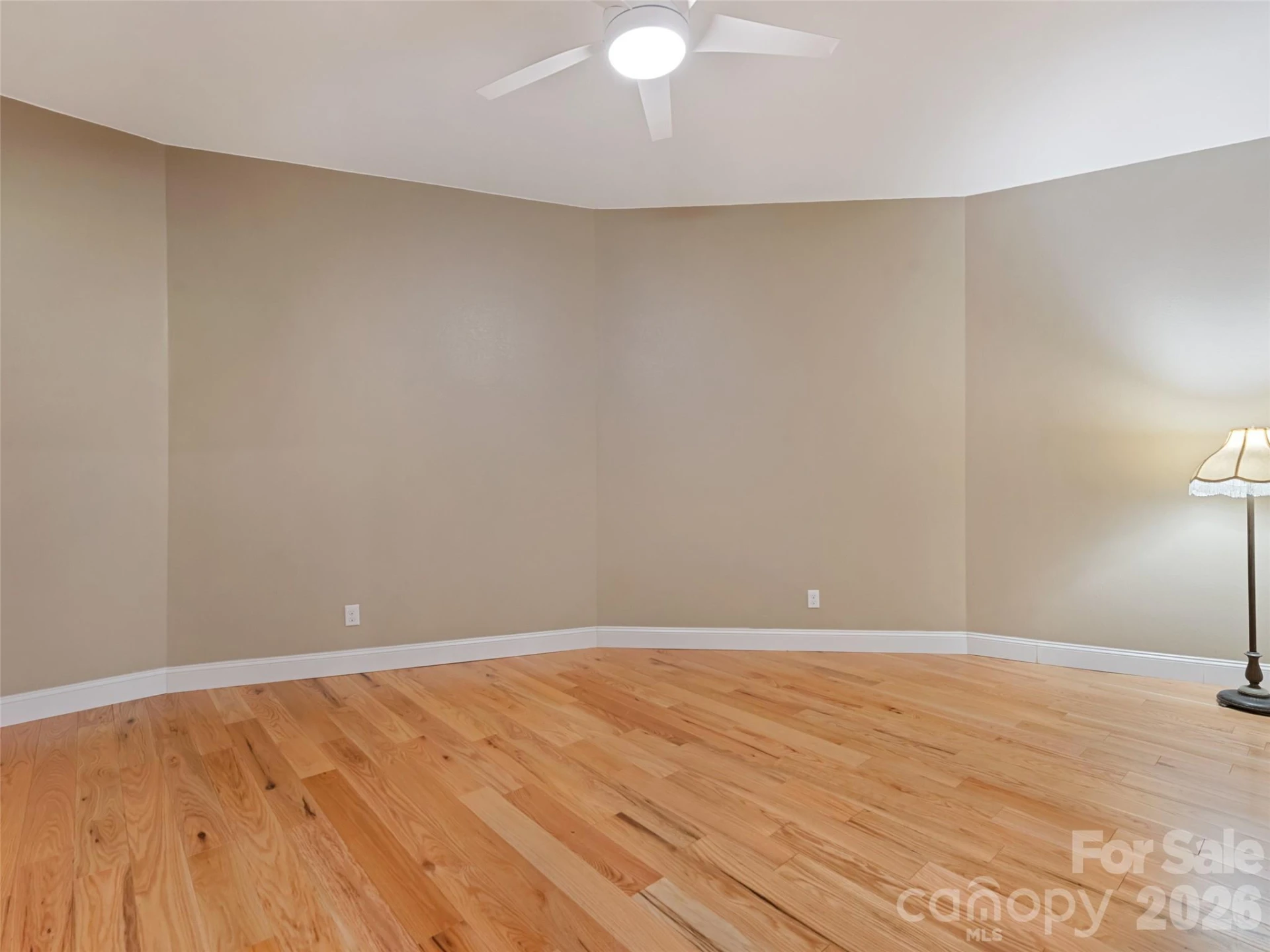 555 Live Oak Loop - Photo 41