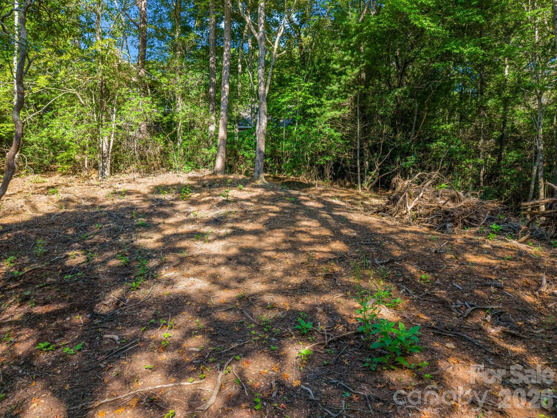 130 Summit Rise Road #9 - Photo 3