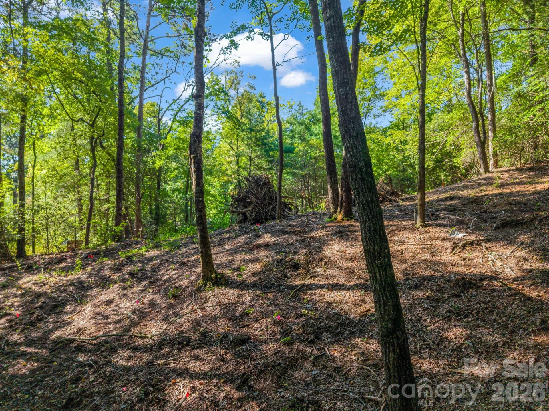 130 Summit Rise Road #9 - Photo 6
