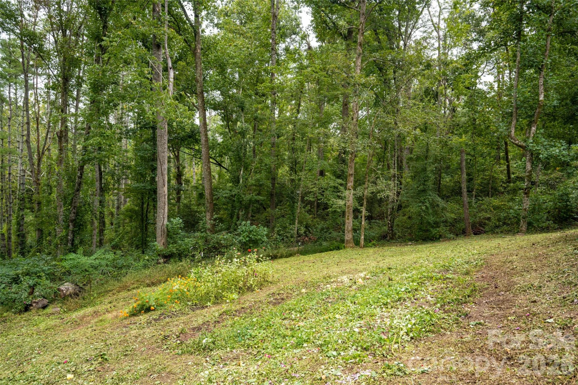 93 White Pine Drive - Photo 45